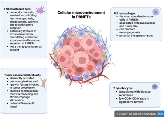 Role of Tumor Microenvironment in Pituitary Neuroendocrine Tumors