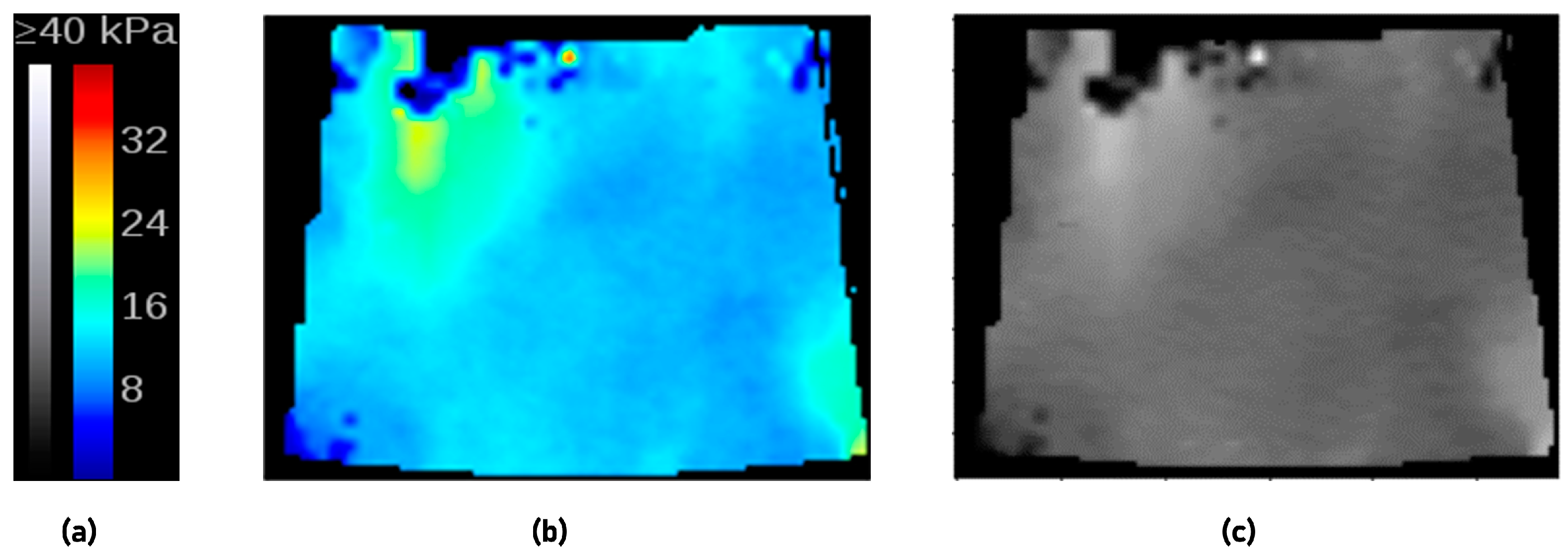 Cancers 15 05303 g003