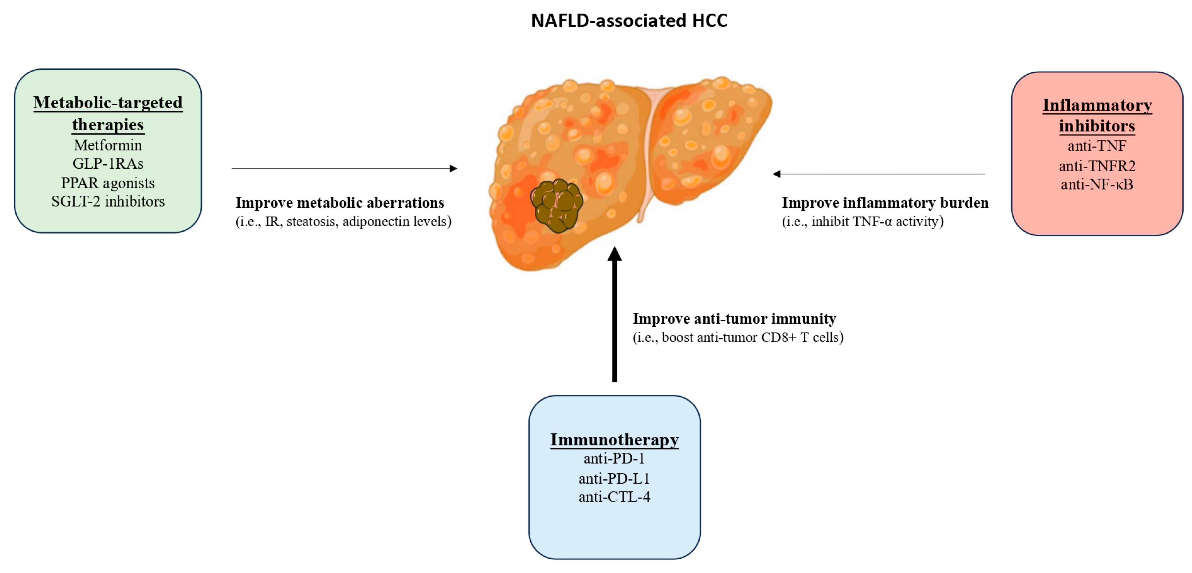 Cancers 15 05306 g002