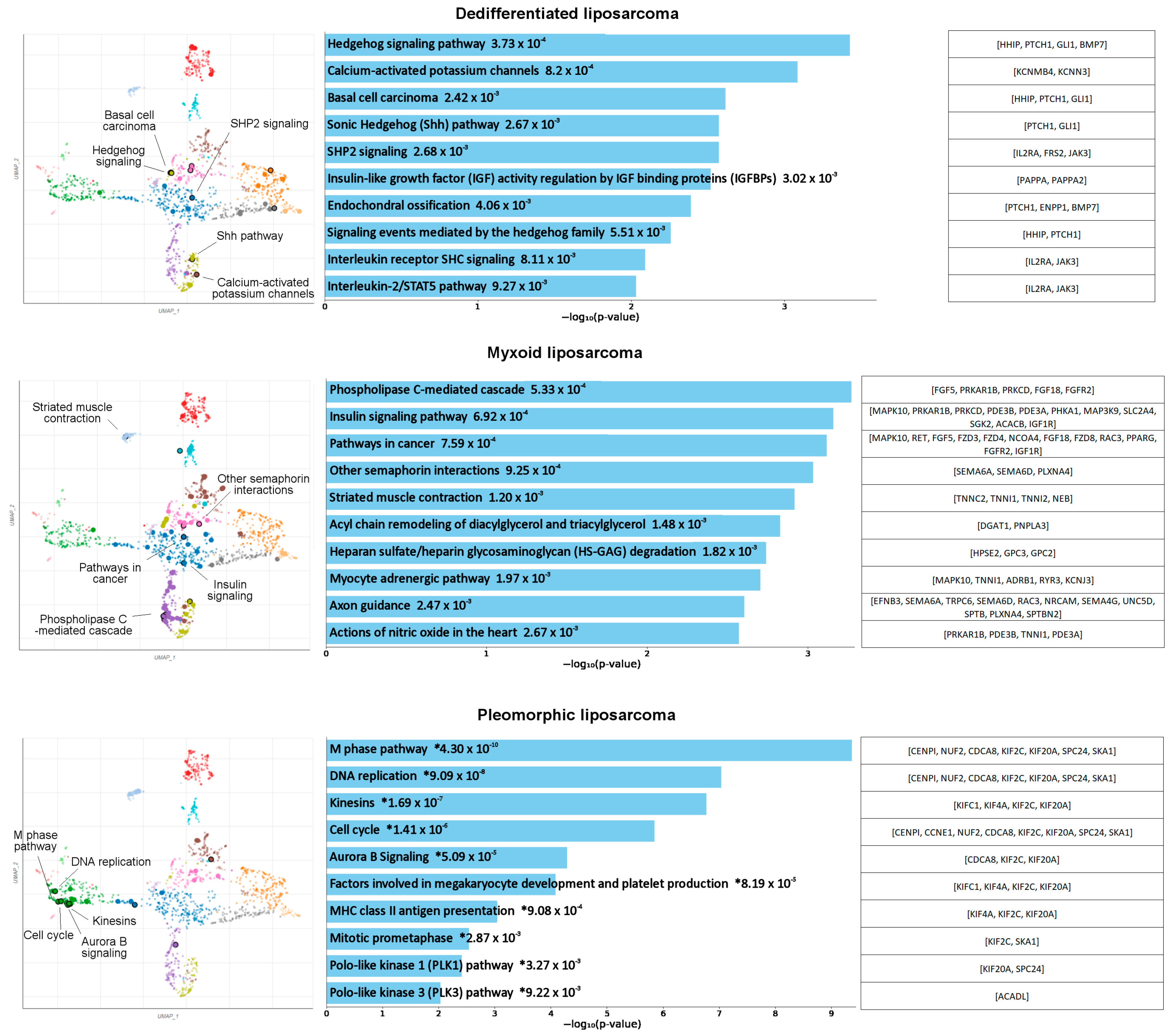 Cancers 15 05308 g001