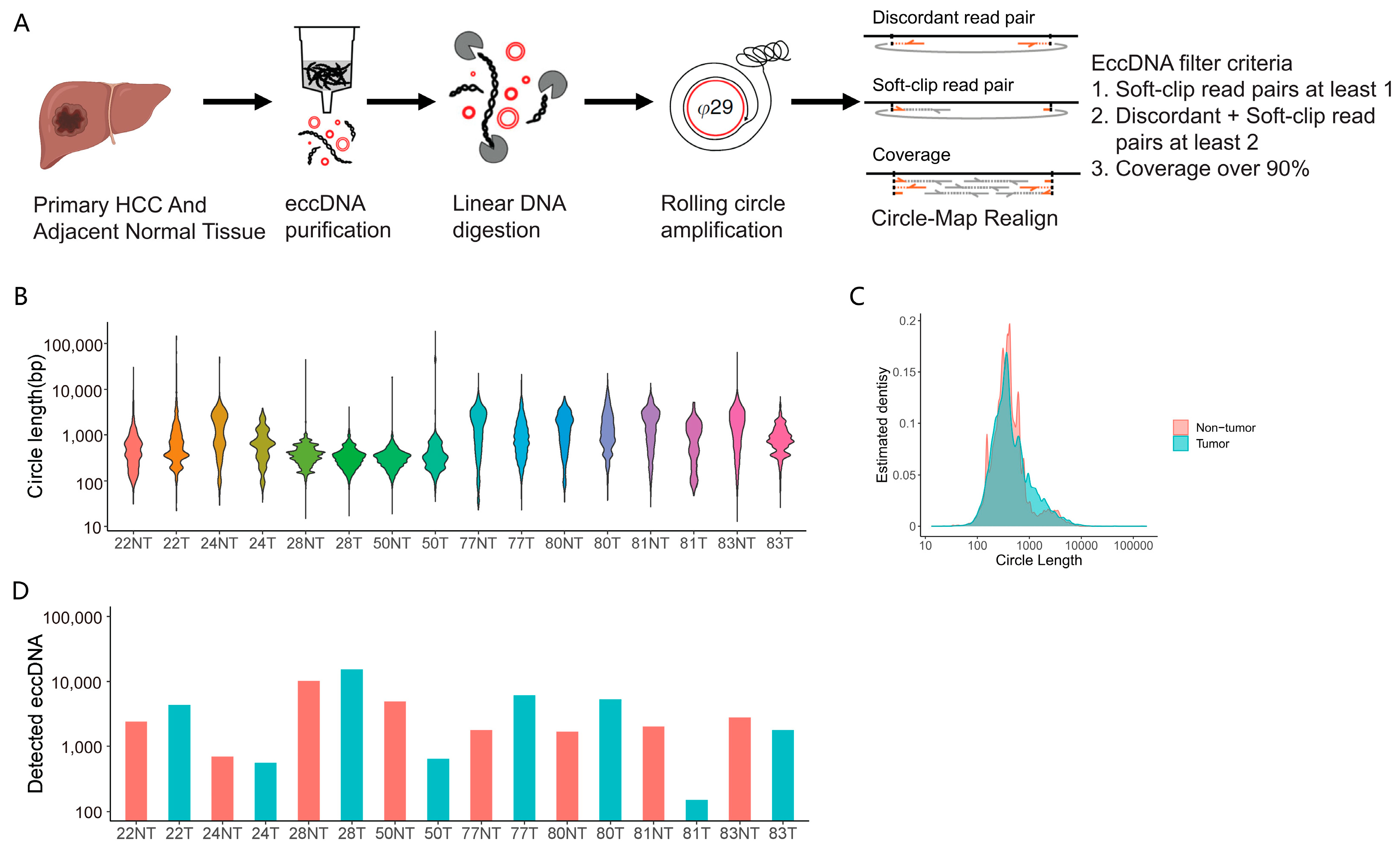 Cancers 15 05309 g001