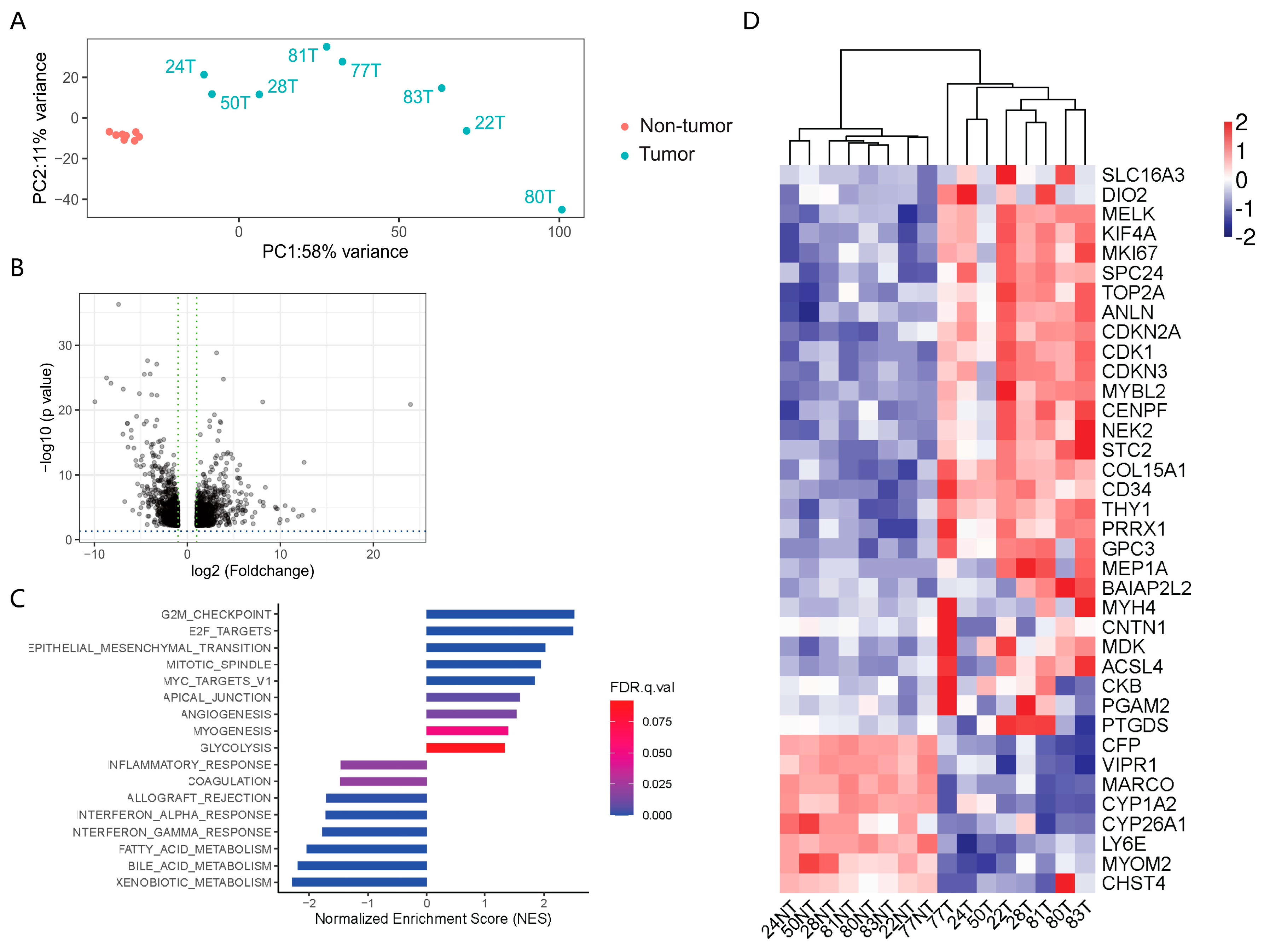 Cancers 15 05309 g004