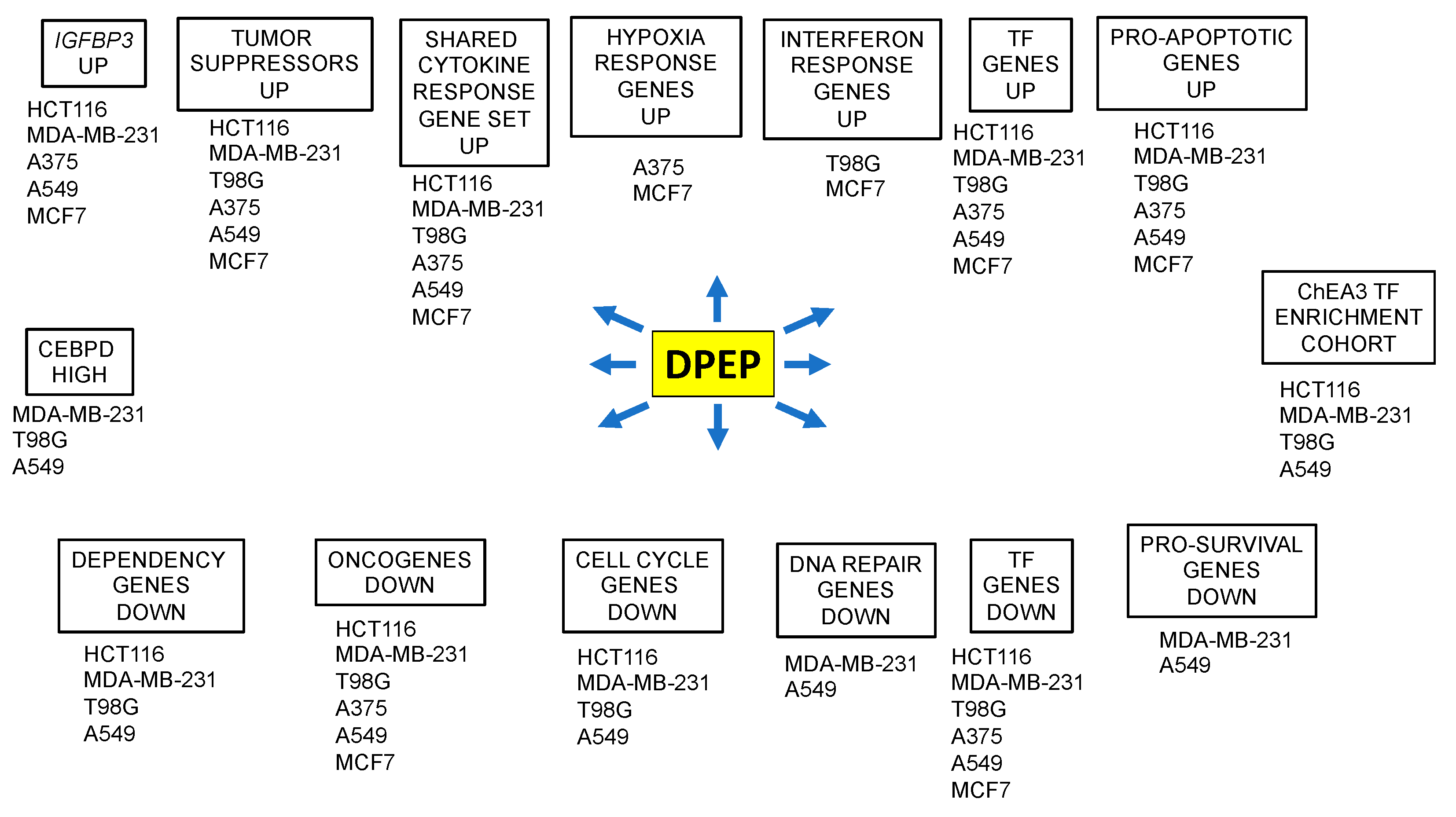 Cancers 15 05318 g007