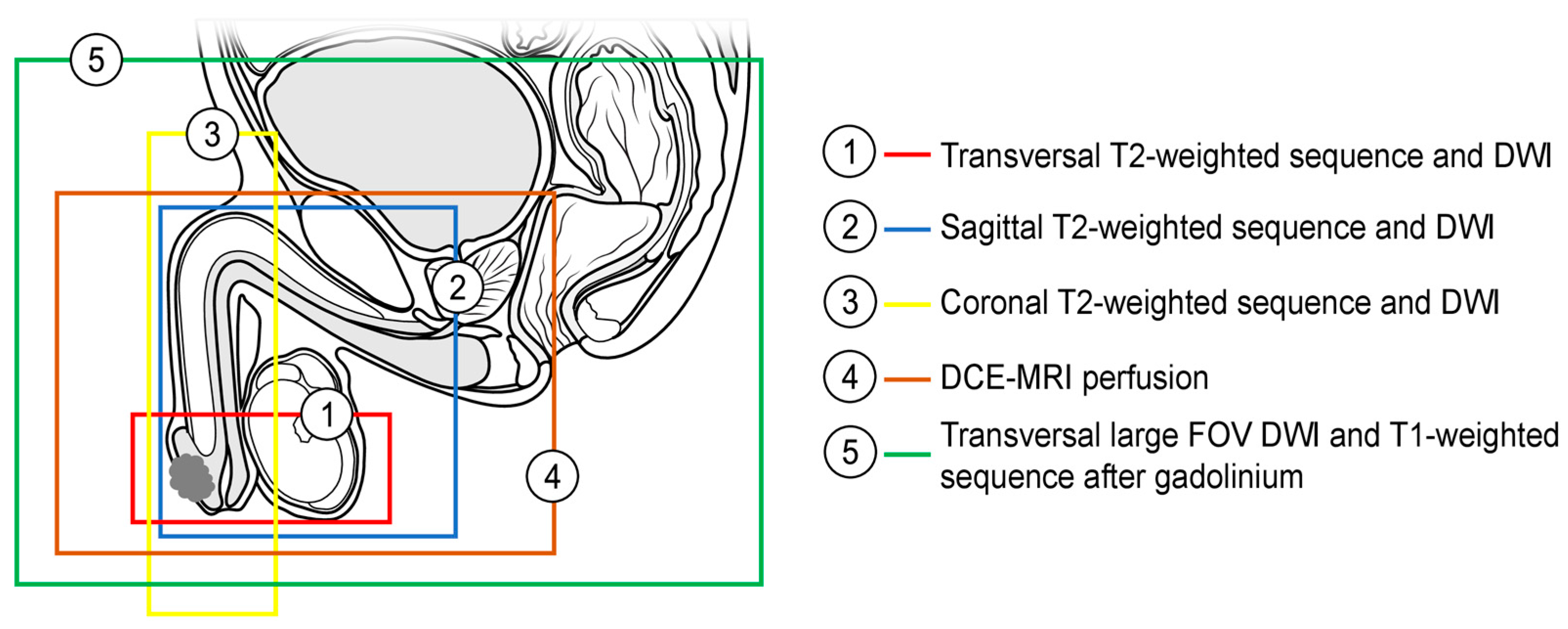 Cancers 15 05324 g001