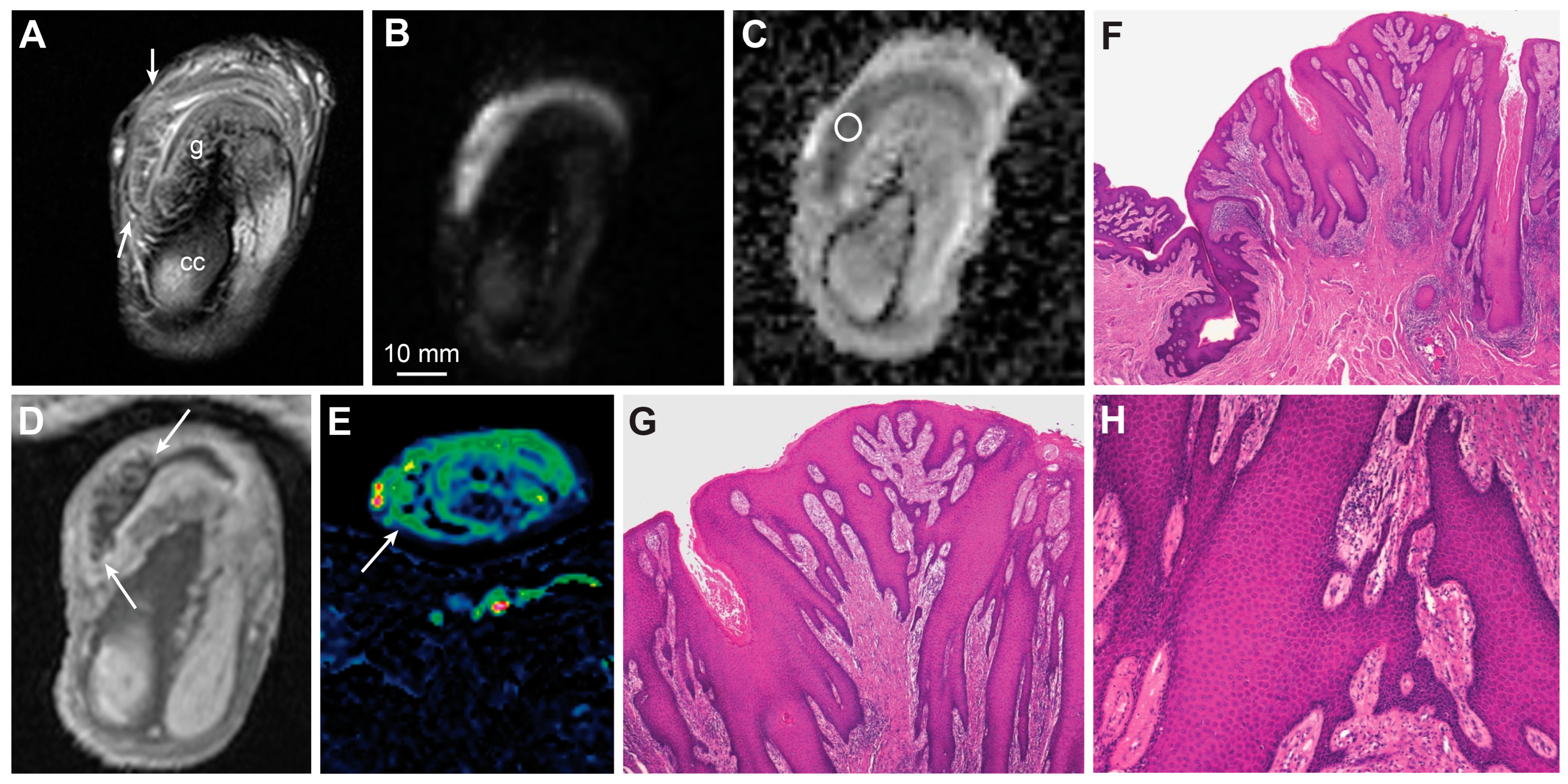 Cancers 15 05324 g008
