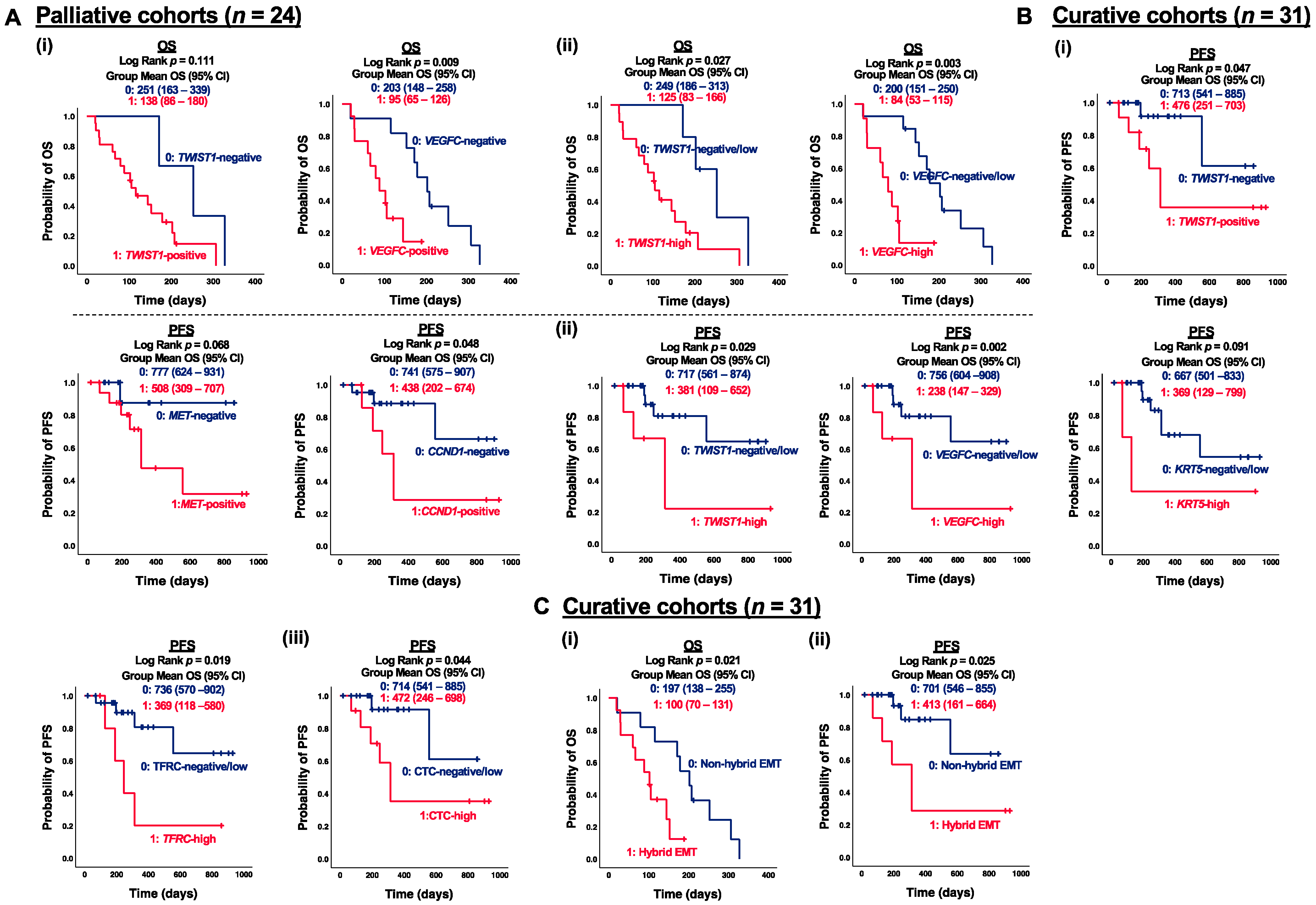 Cancers 15 05329 g004