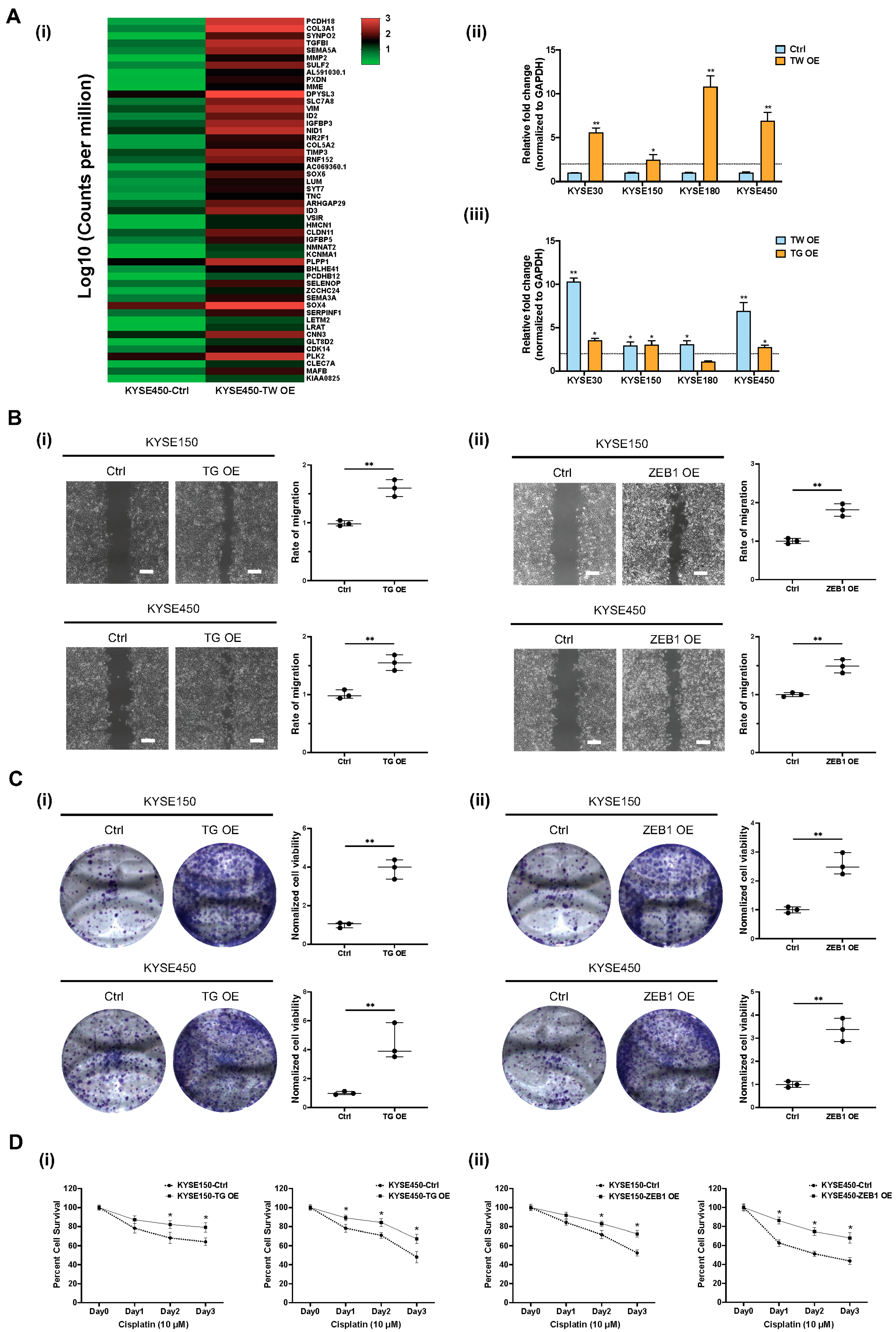 Cancers 15 05329 g007