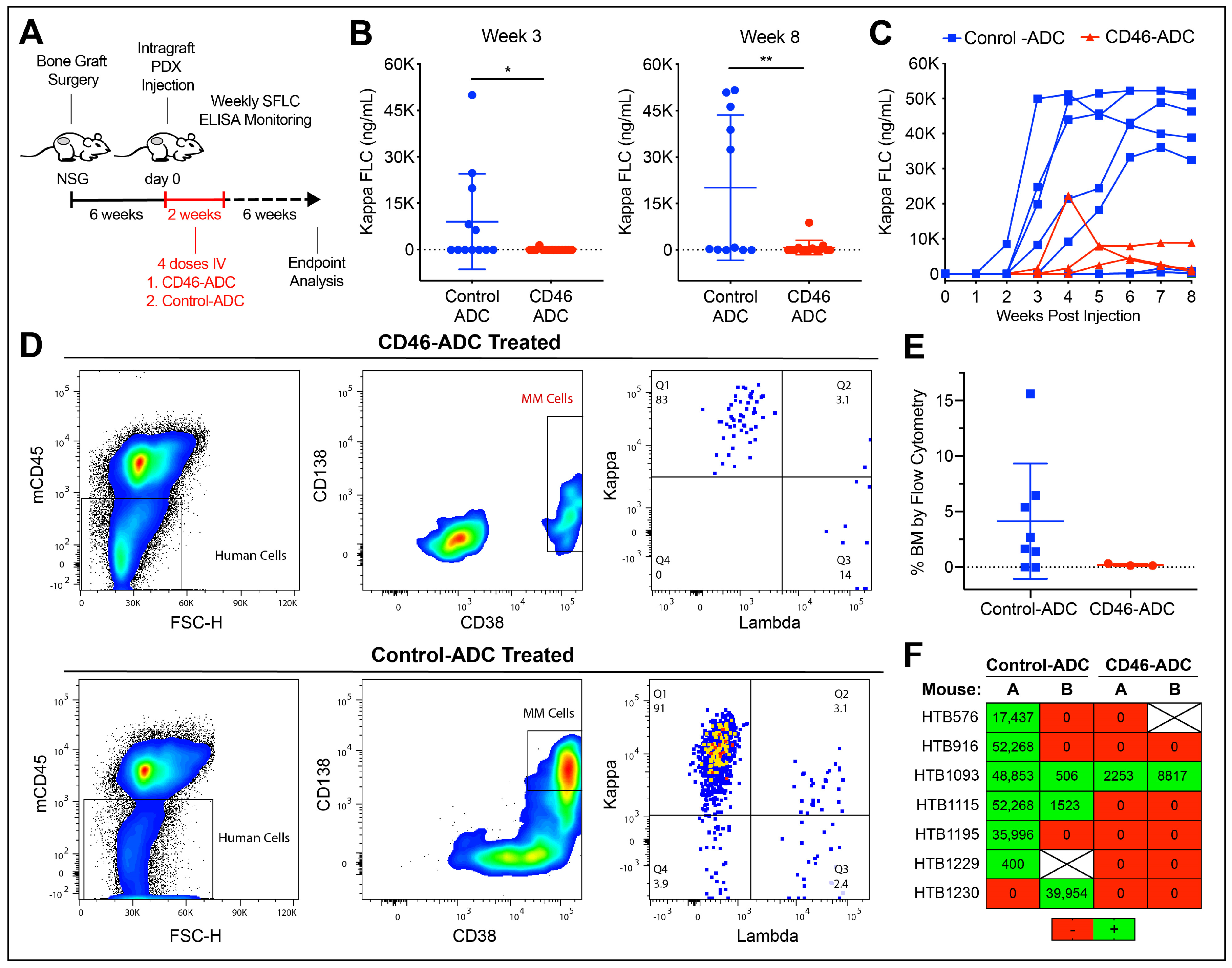 Cancers 15 05335 g003