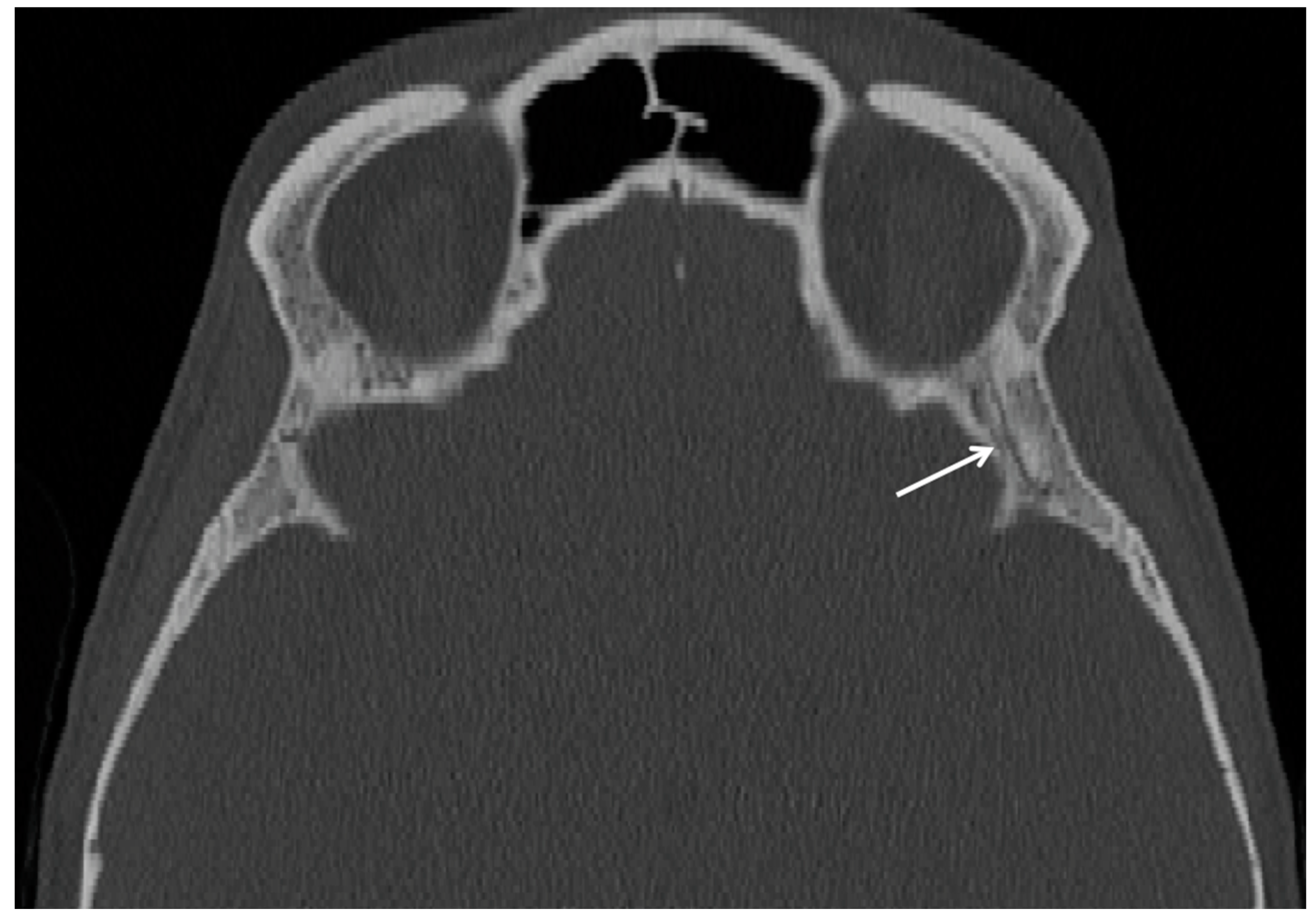 Cancers 15 05341 g001