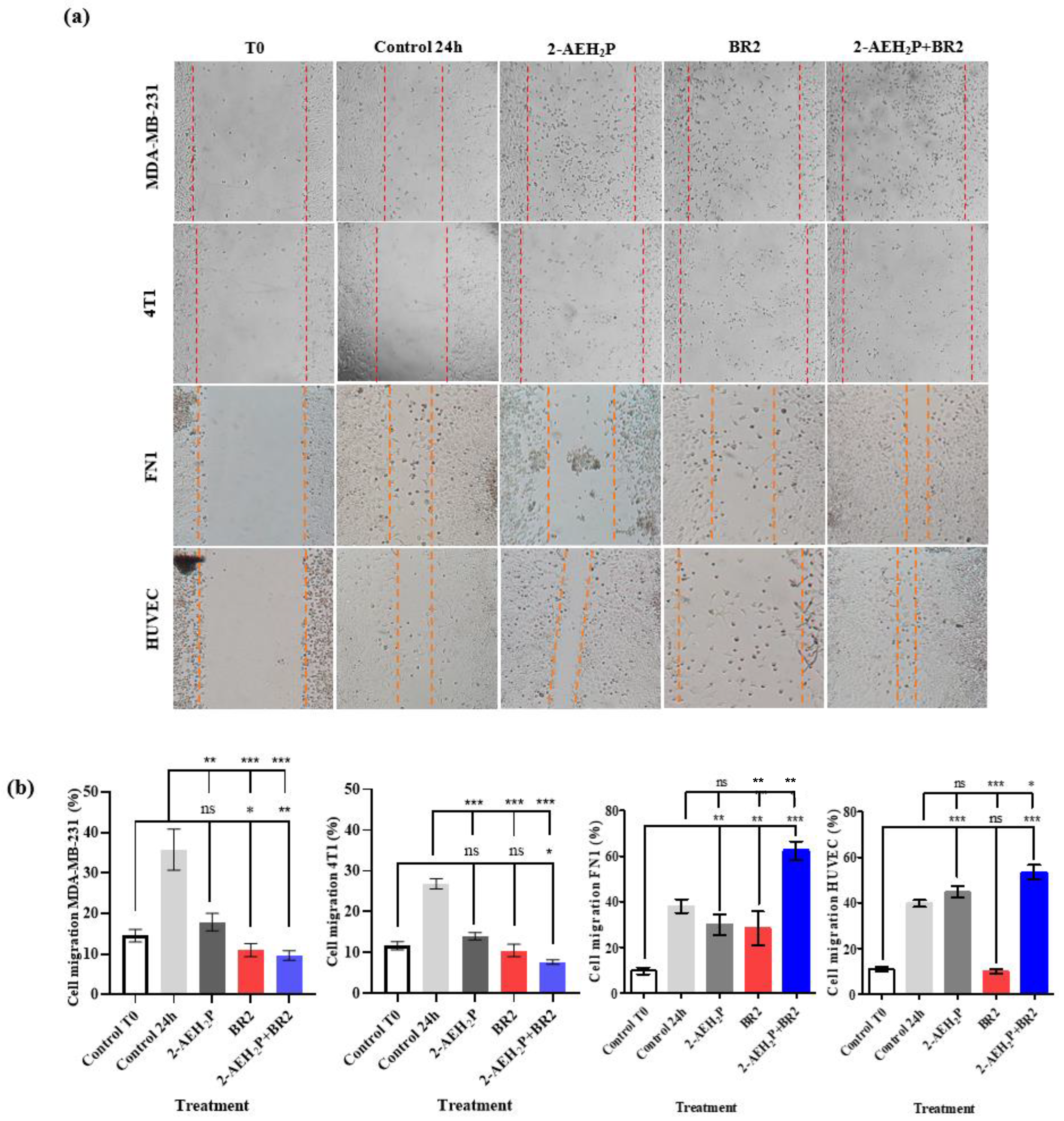Cancers 15 05342 g004