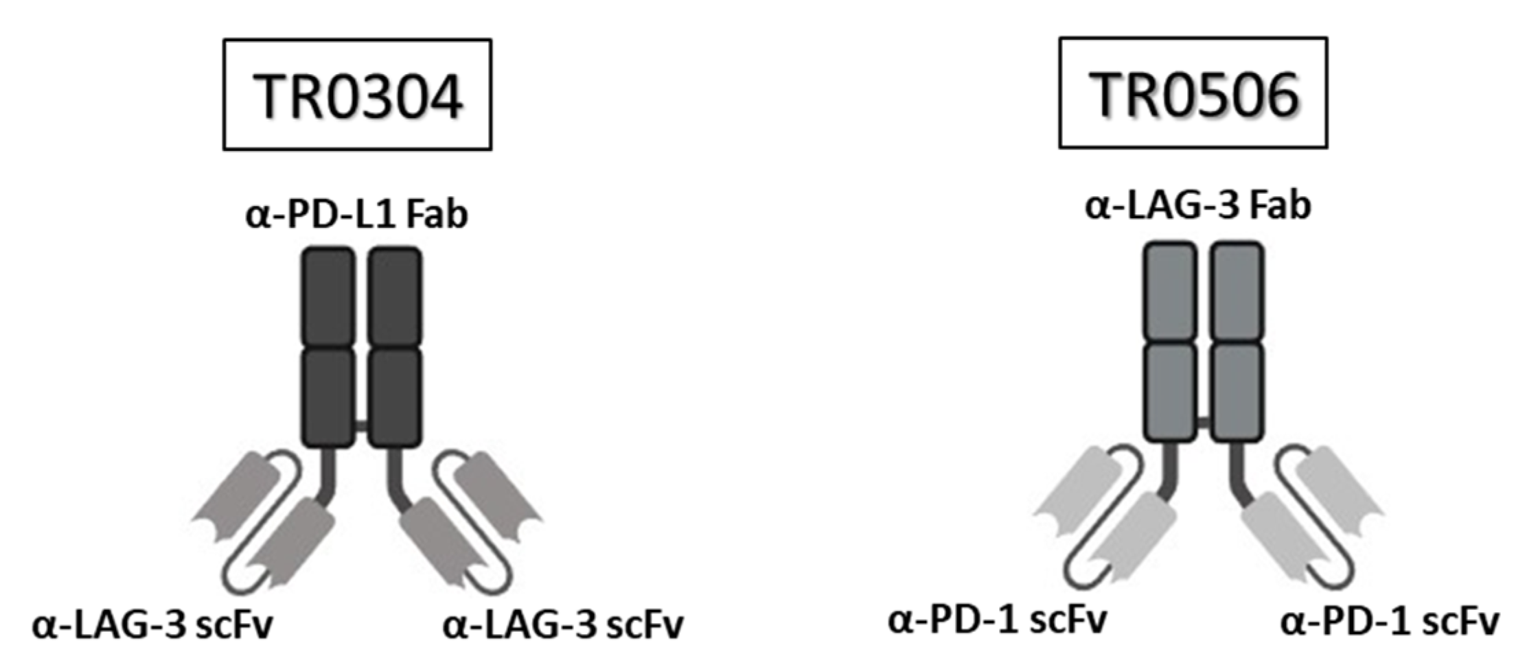 Cancers 15 05345 g001