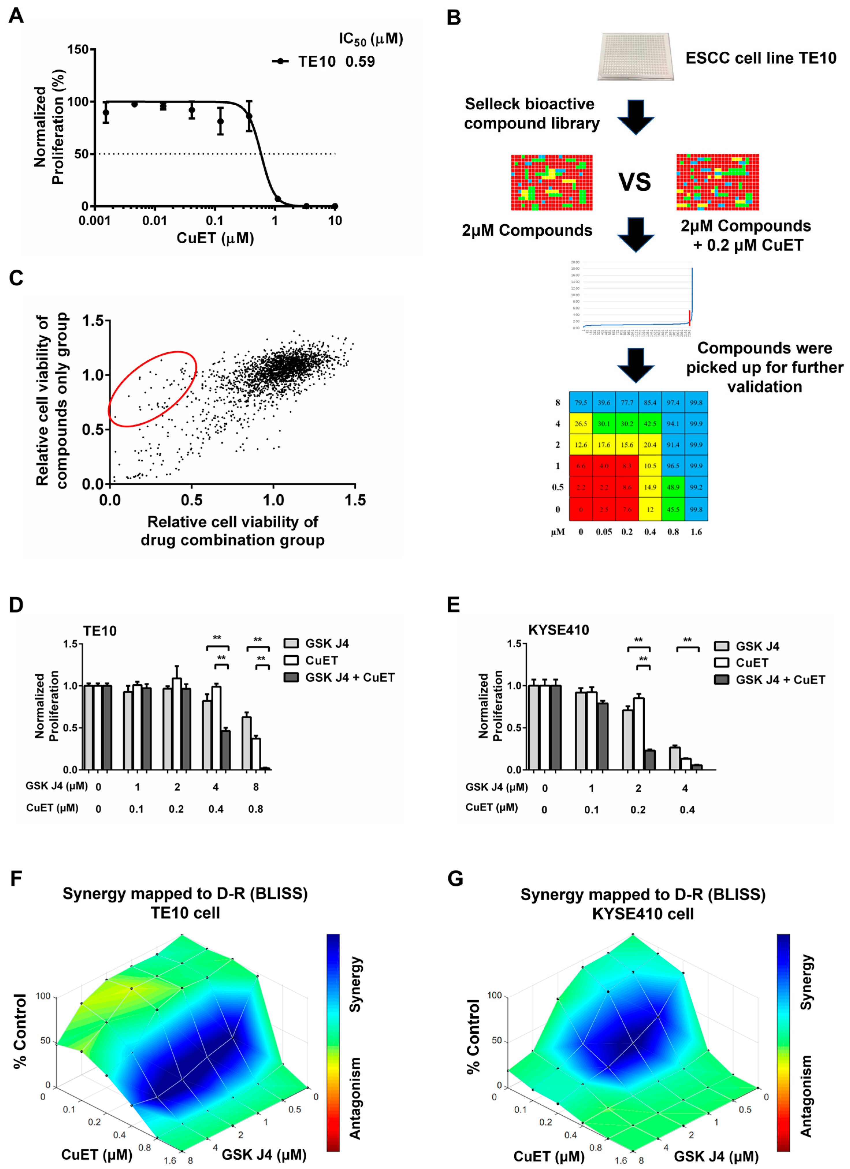 Cancers 15 05347 g001