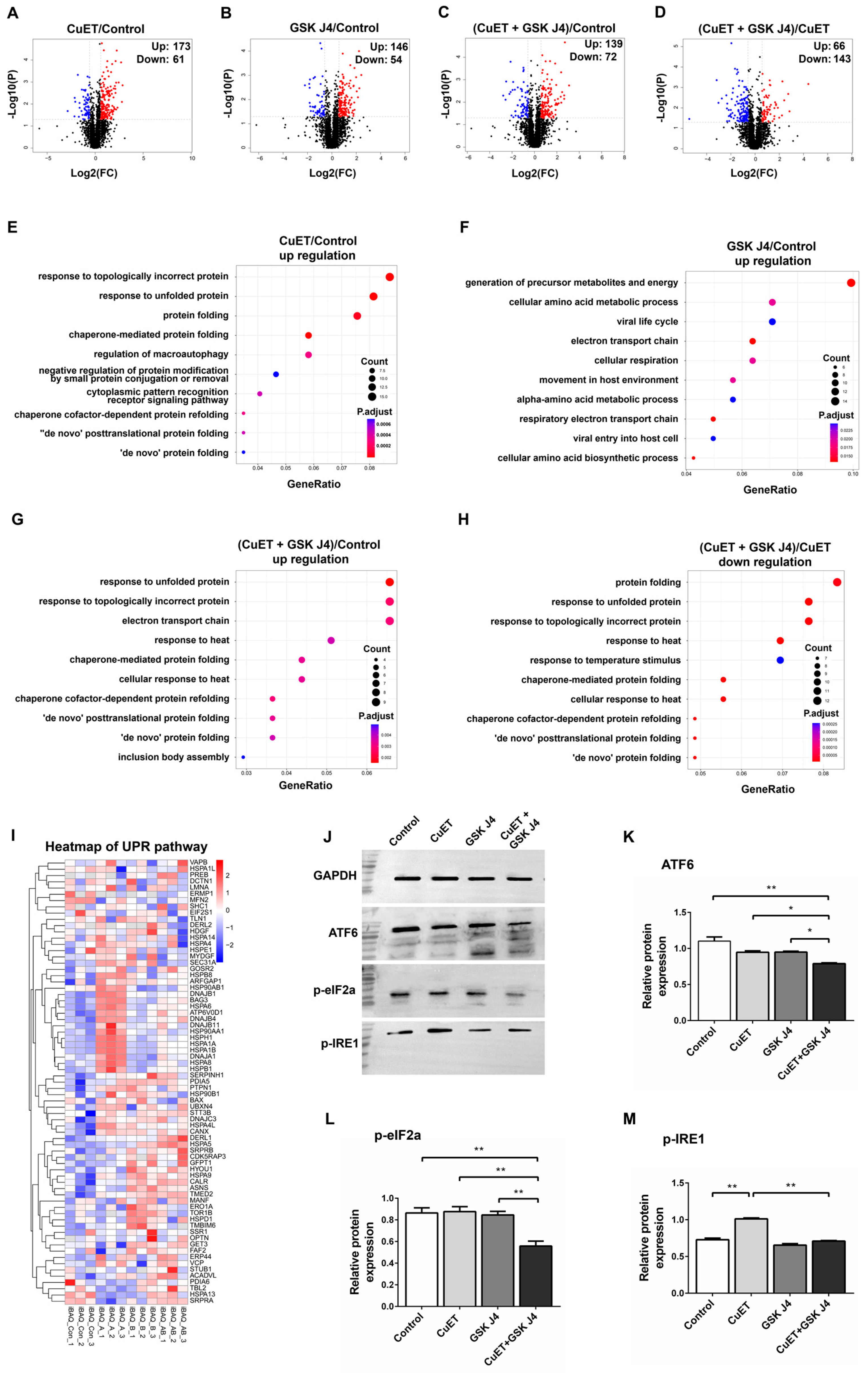 Cancers 15 05347 g004