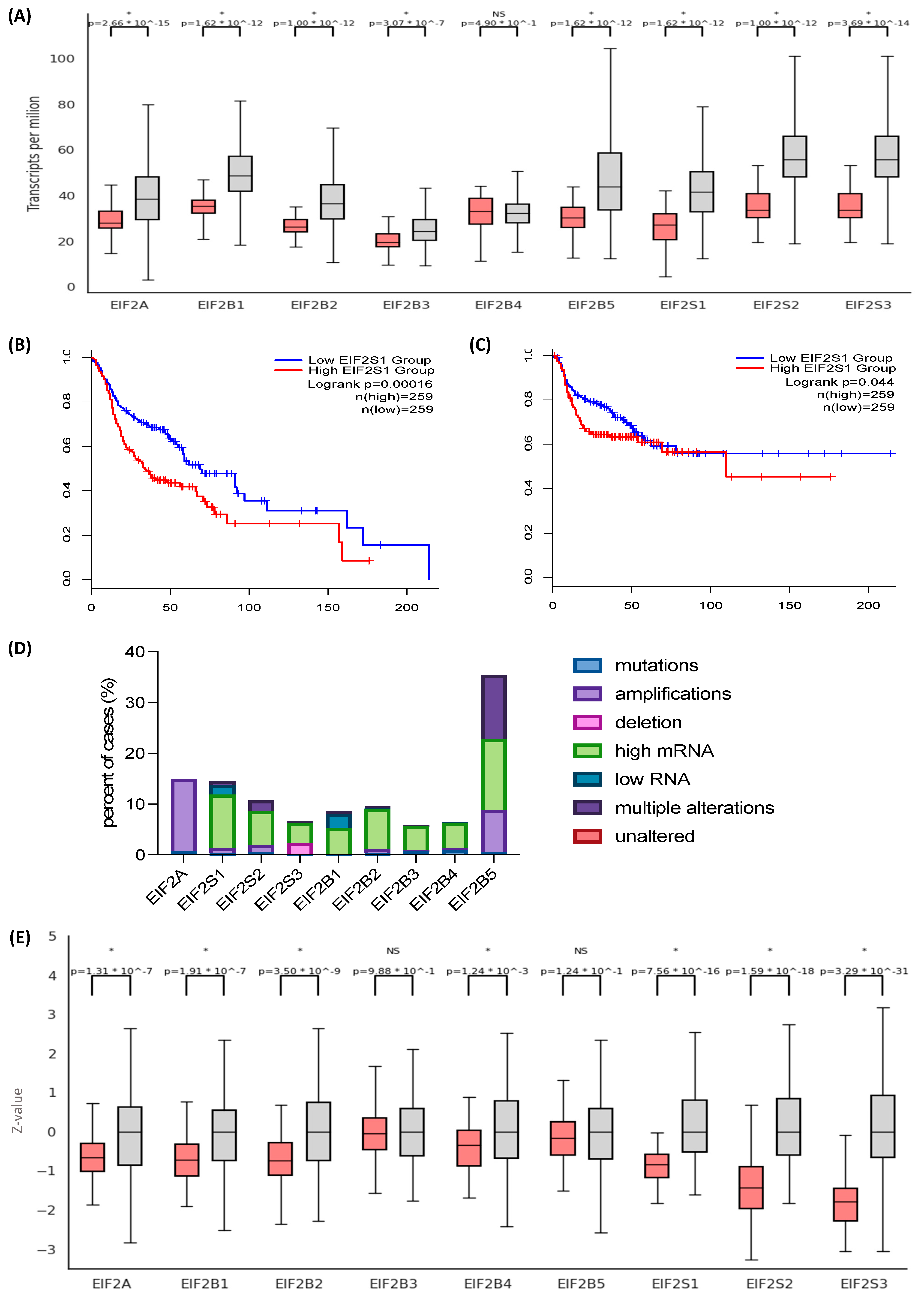 Cancers 15 05350 g001