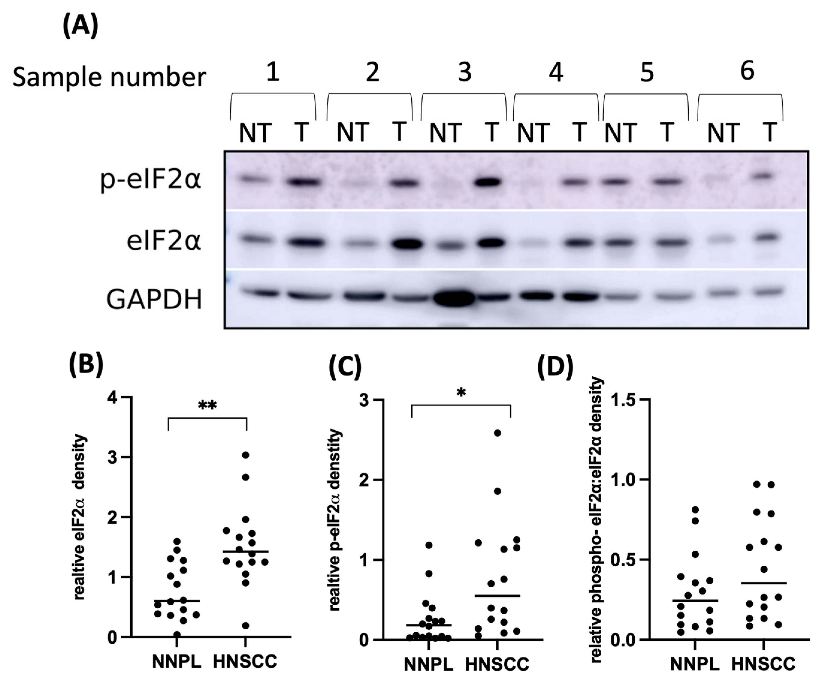 Cancers 15 05350 g003