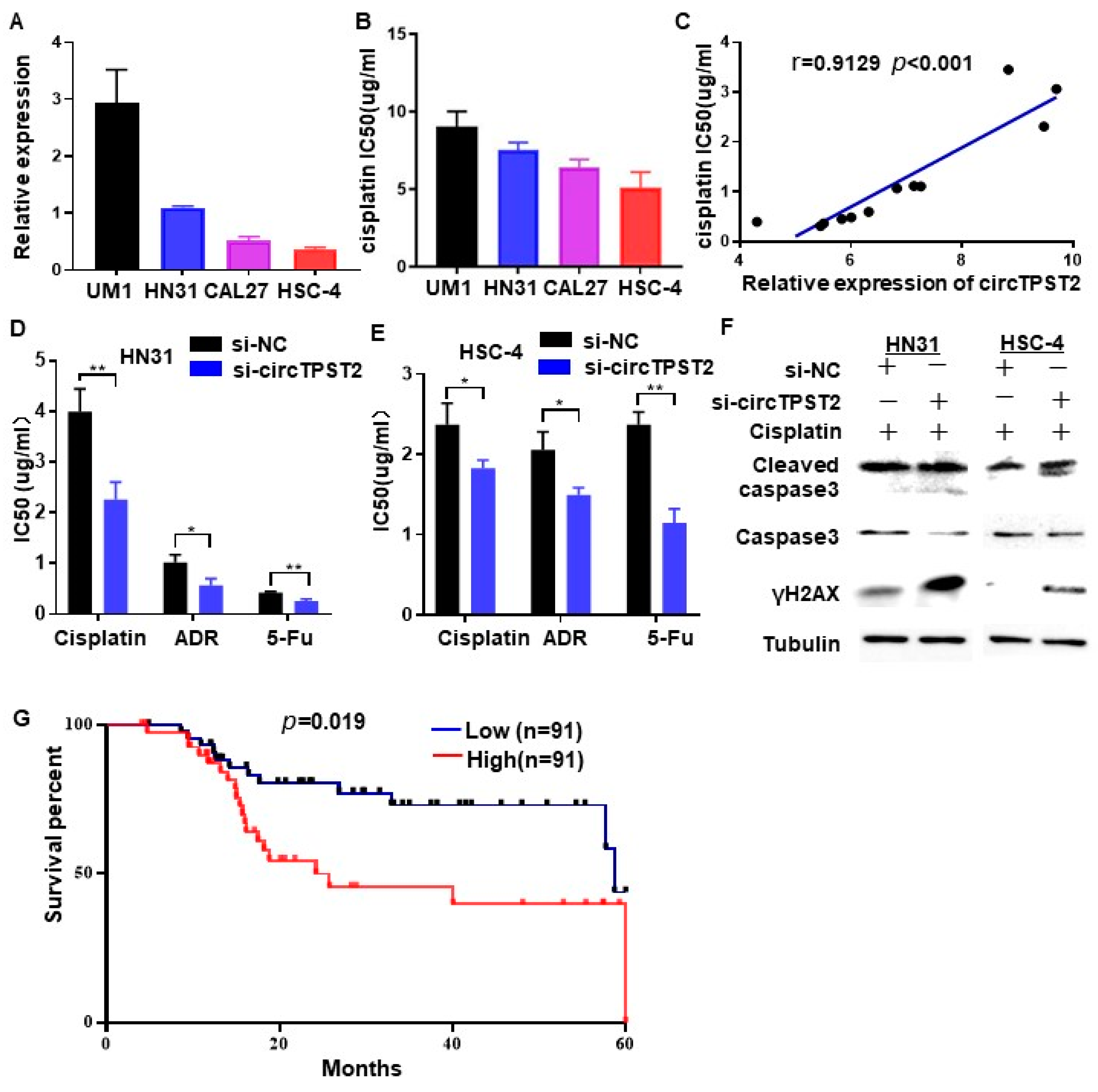 Cancers 15 05351 g002