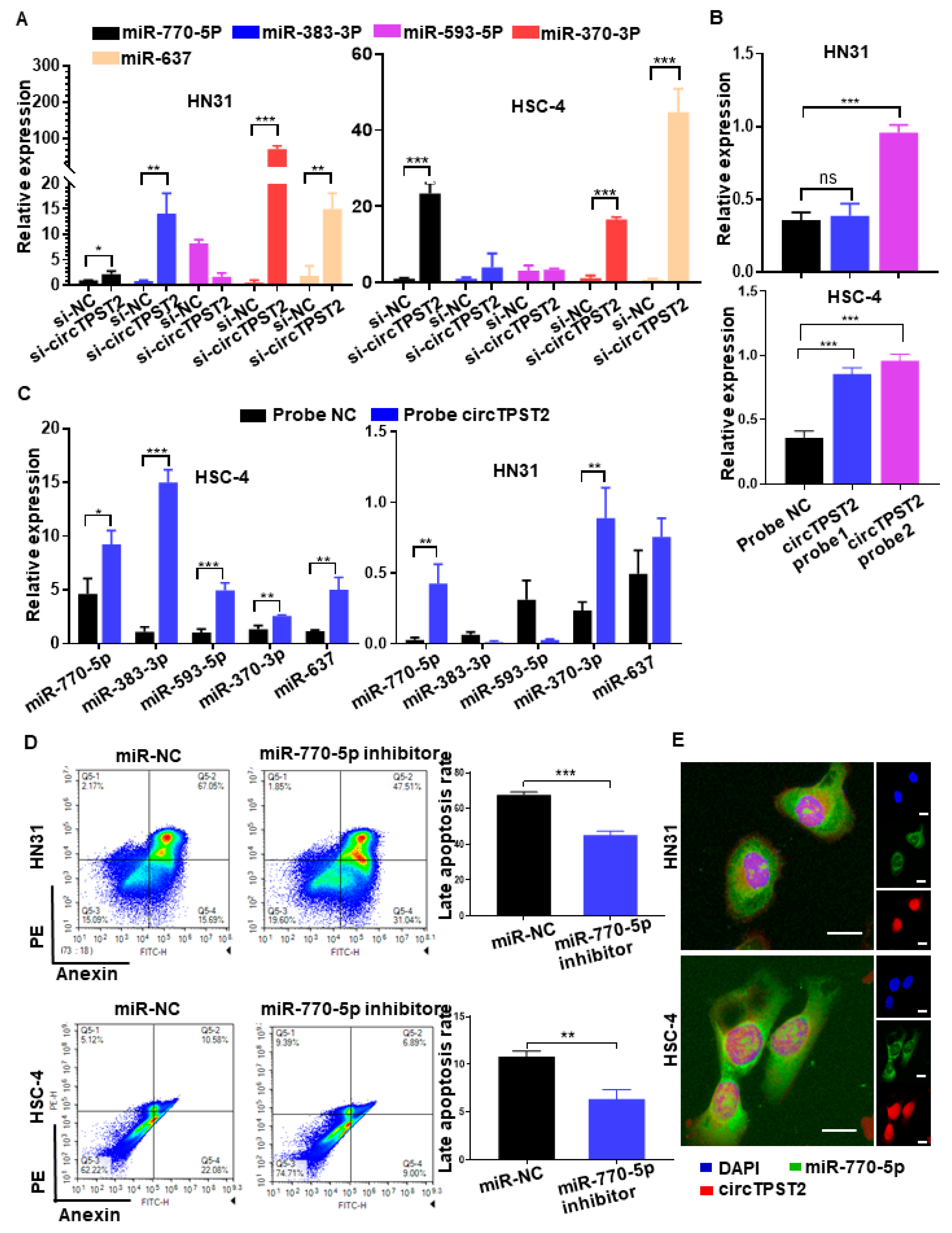 Cancers 15 05351 g003