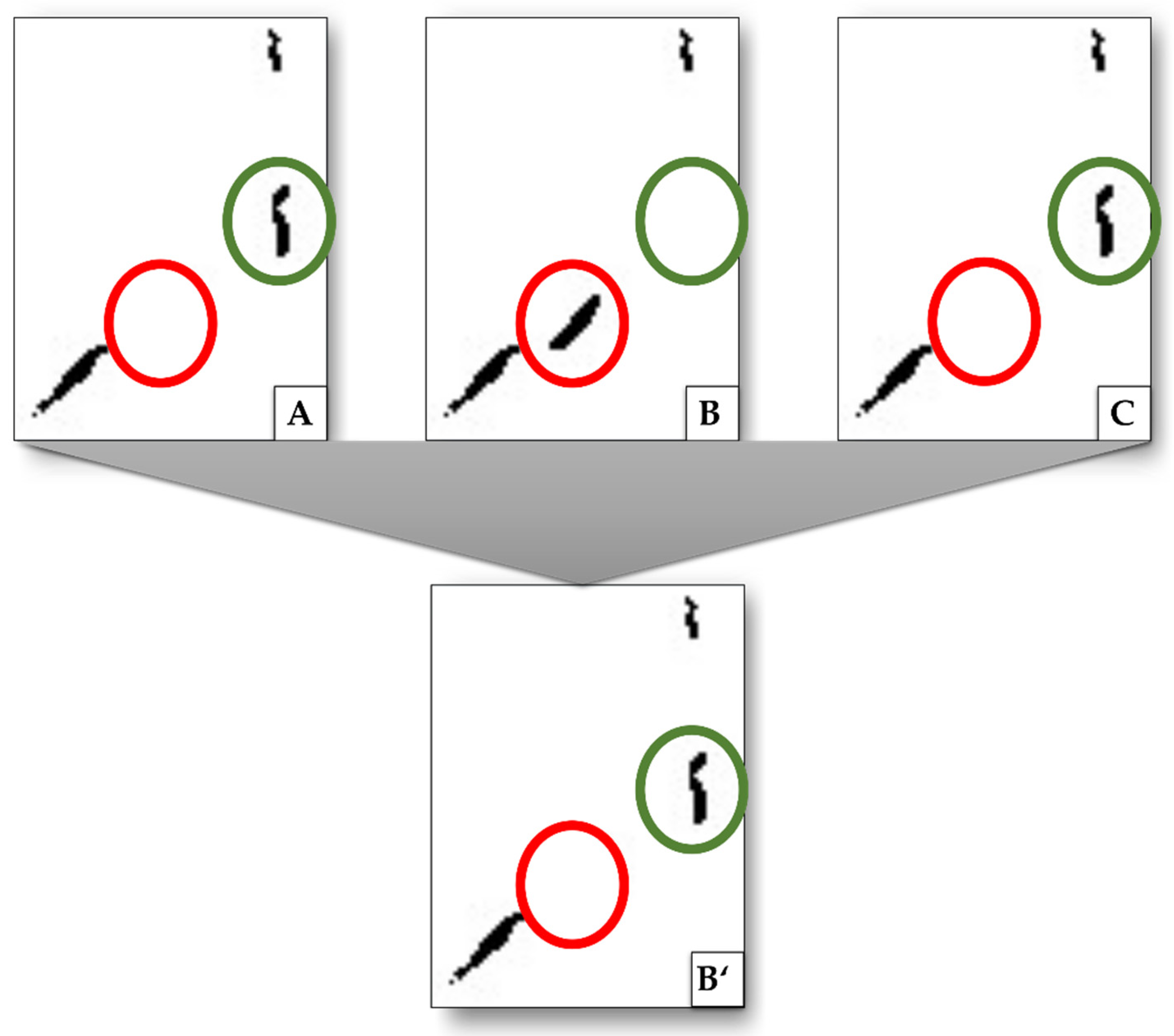 Cancers 15 05352 g005 Cancers 15 05352 g005