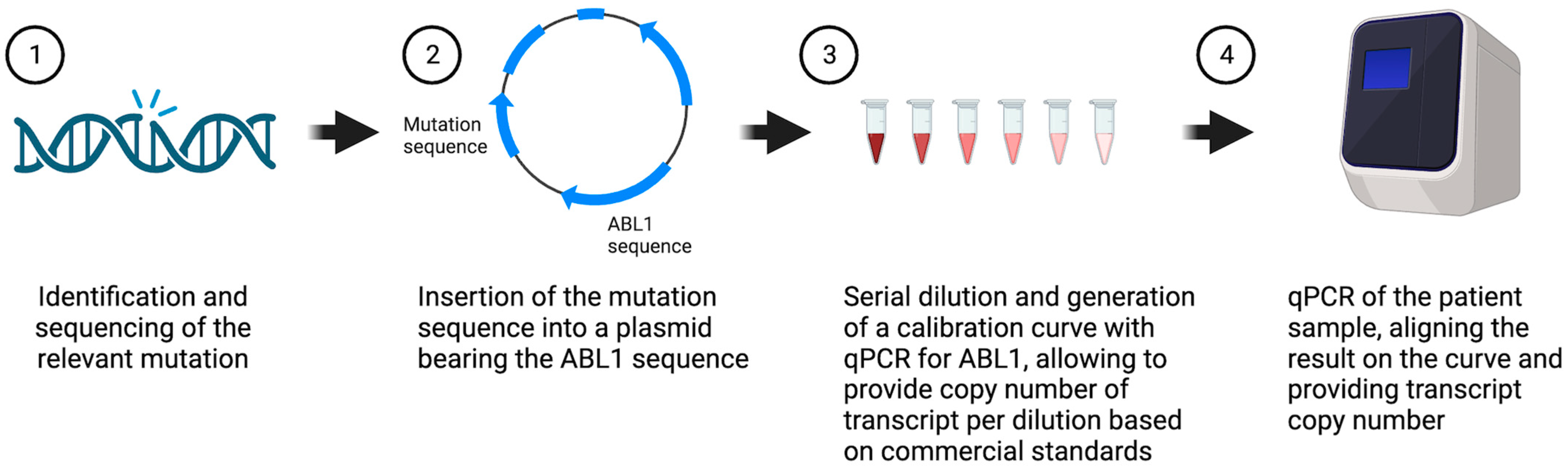 Cancers 15 05360 g001