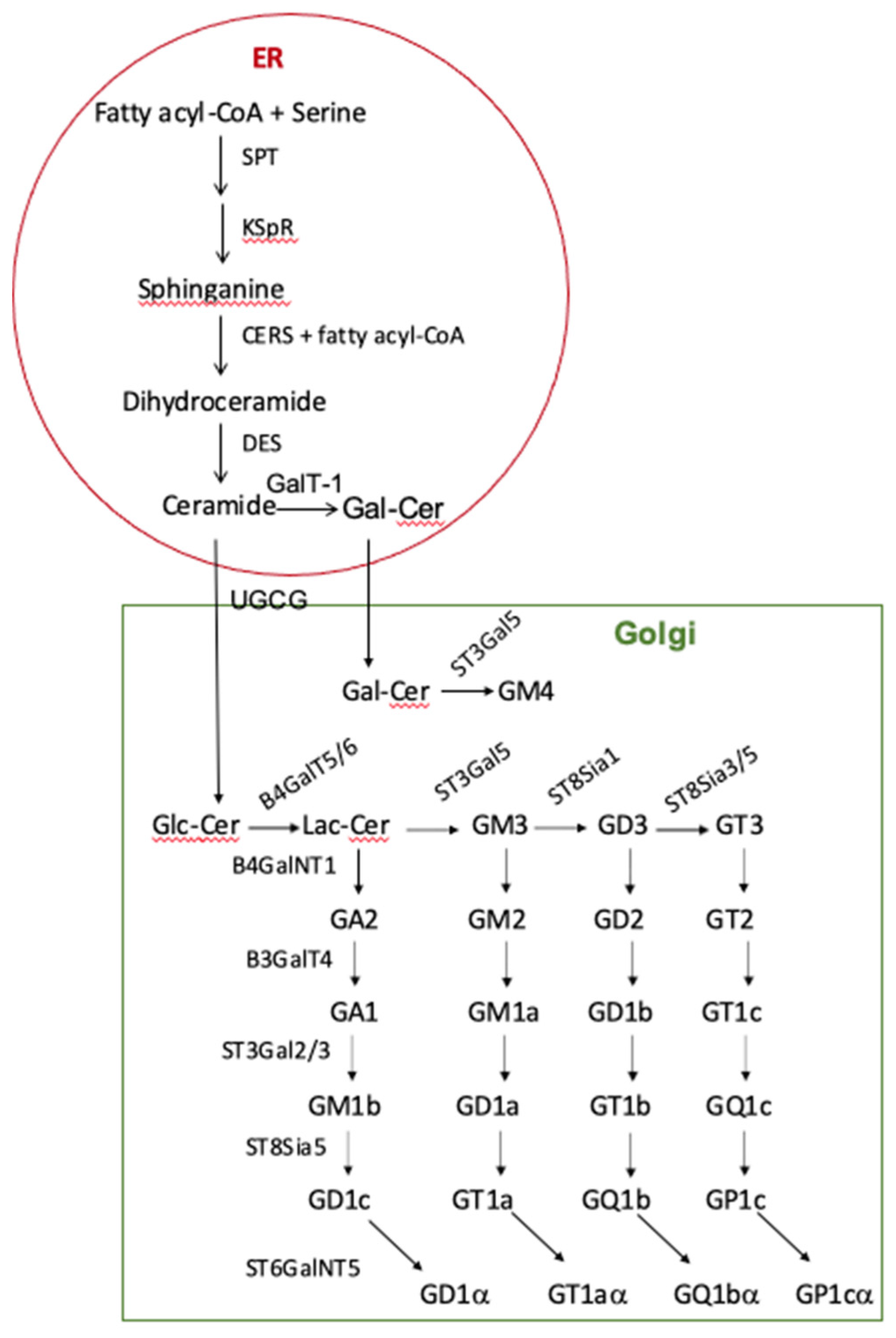 Cancers 15 05362 g001 Cancers 15 05362 g001