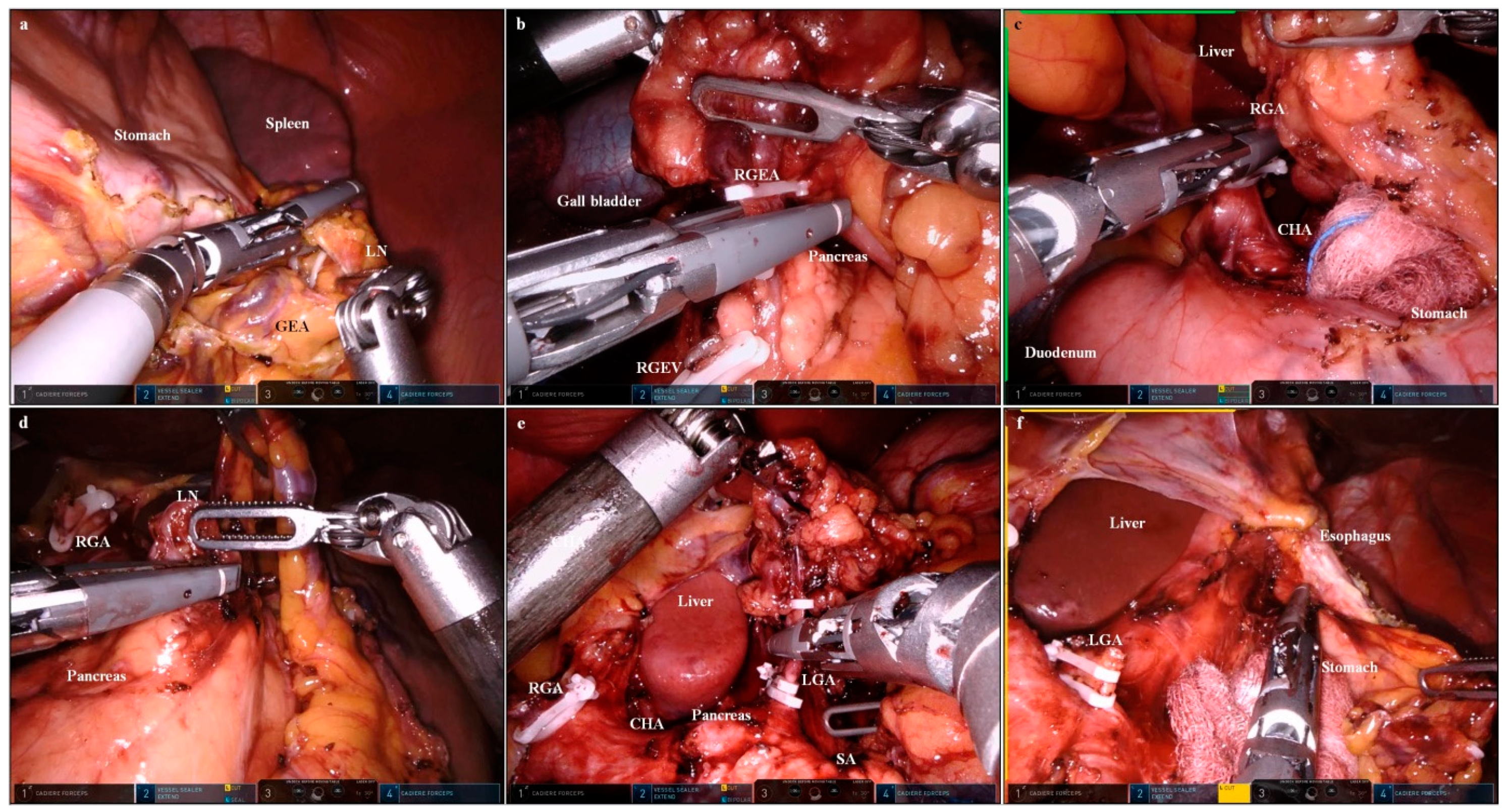 Cancers 15 05371 g002