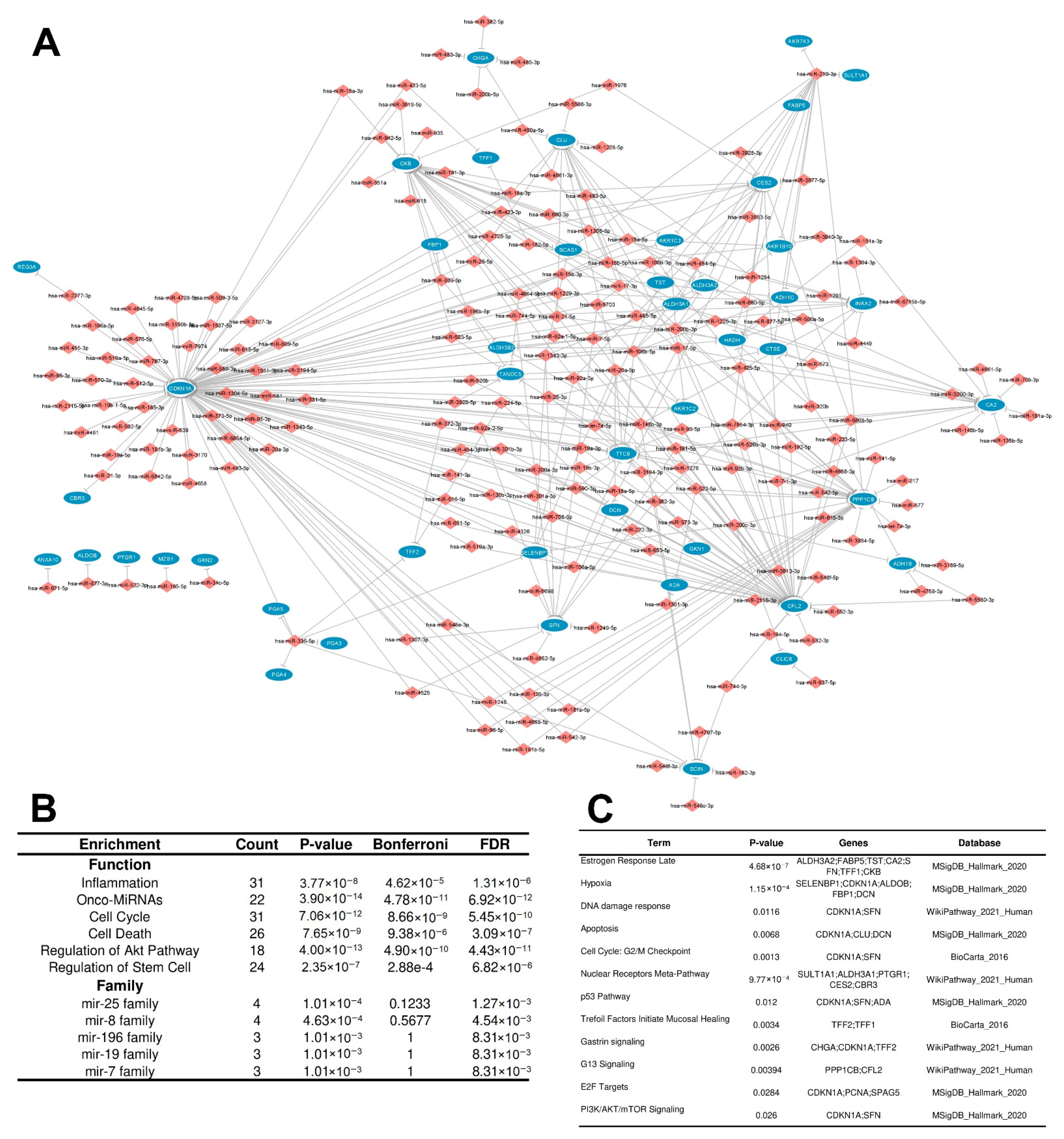 Cancers 15 05374 g004