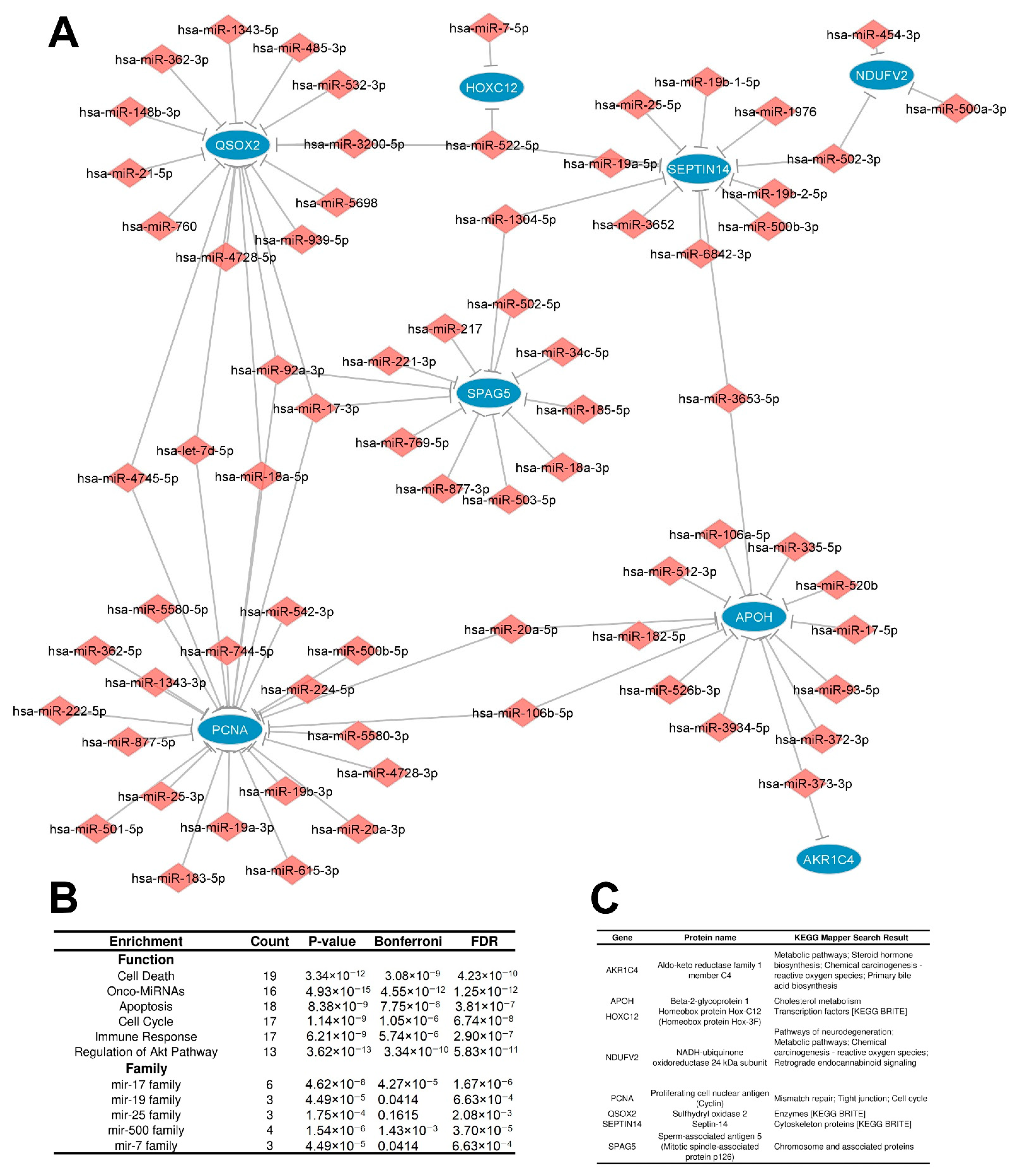 Cancers 15 05374 g005