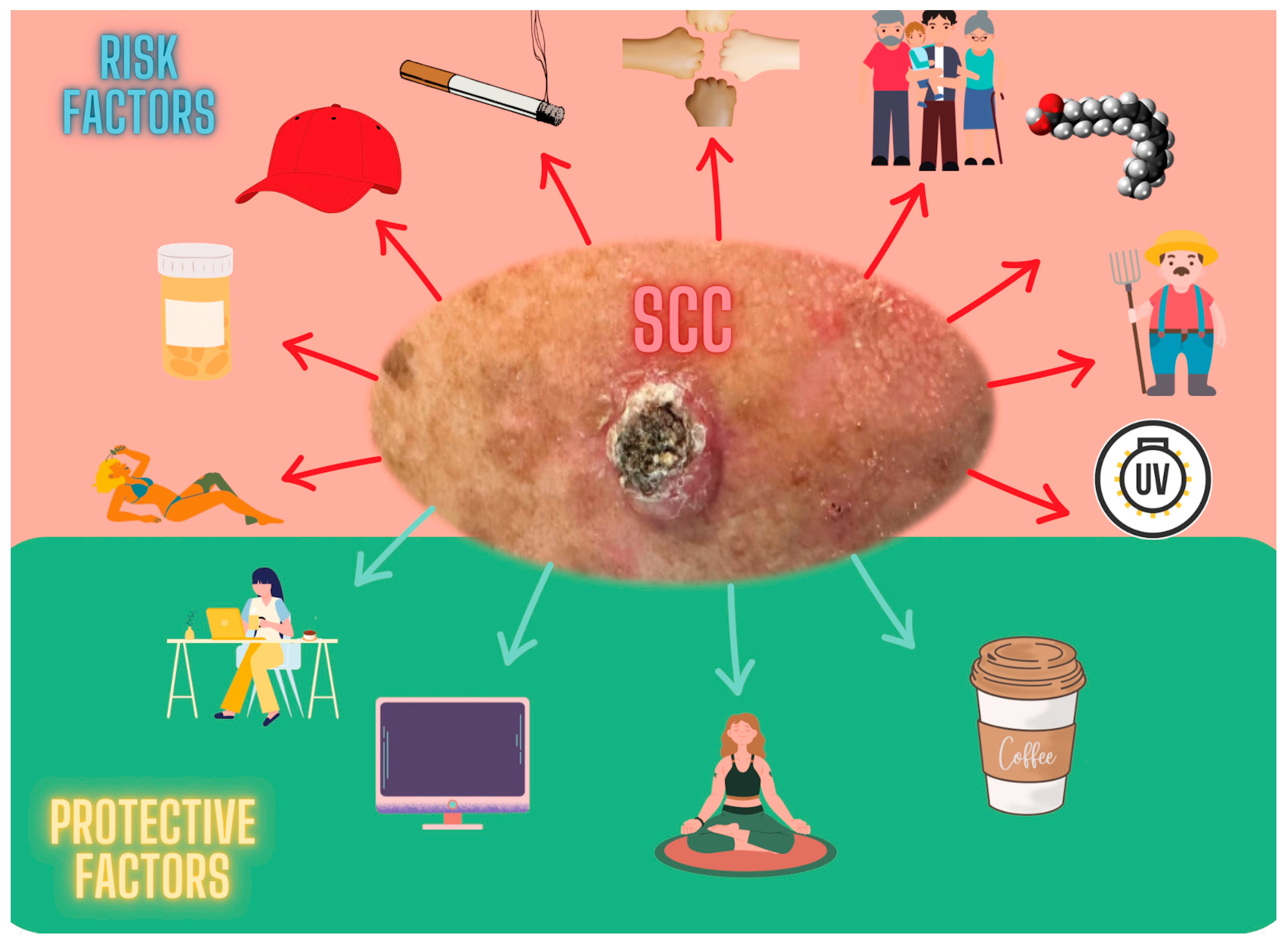 Cancers 15 05376 g001