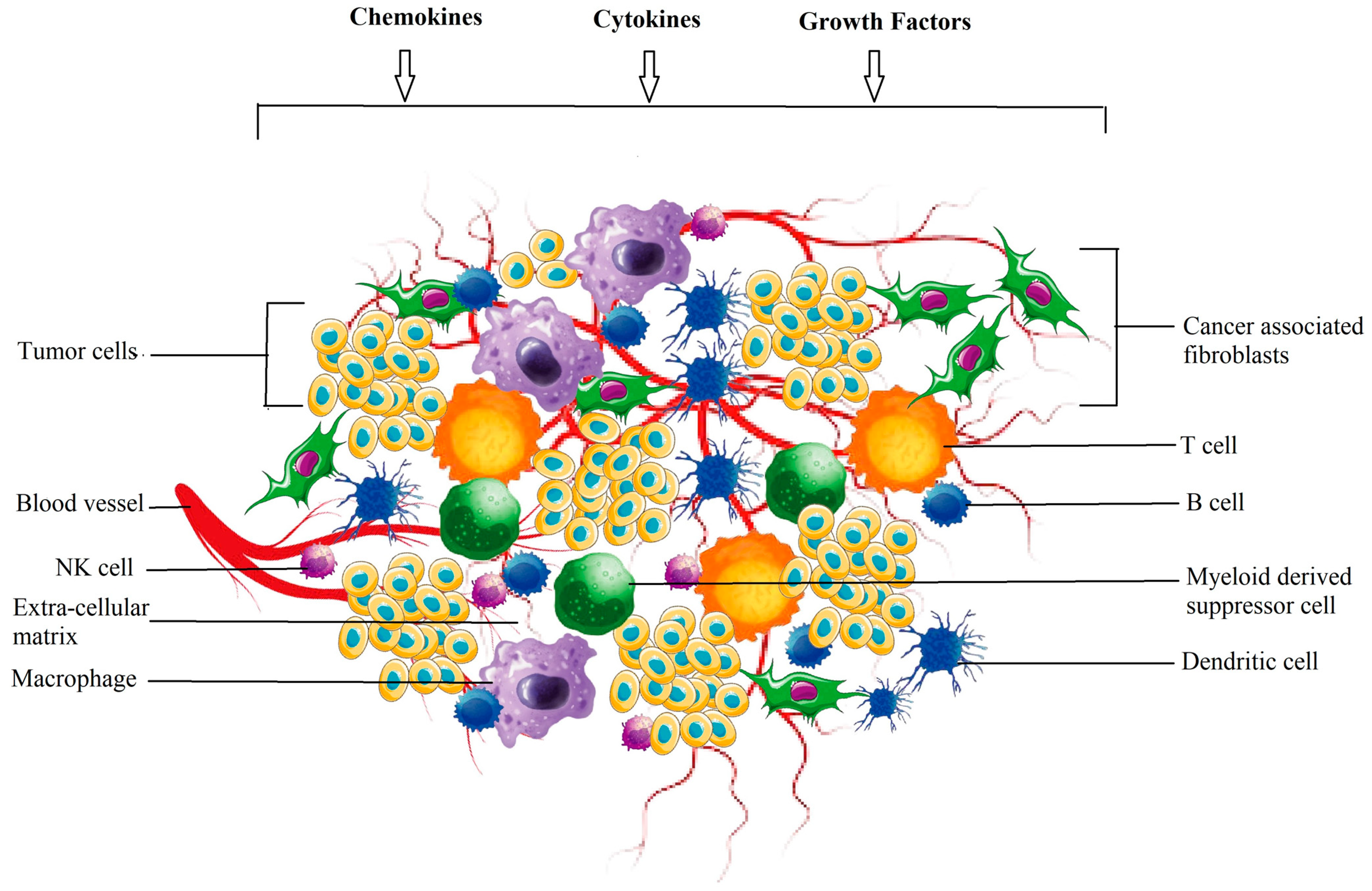 Cancers 15 05383 g001