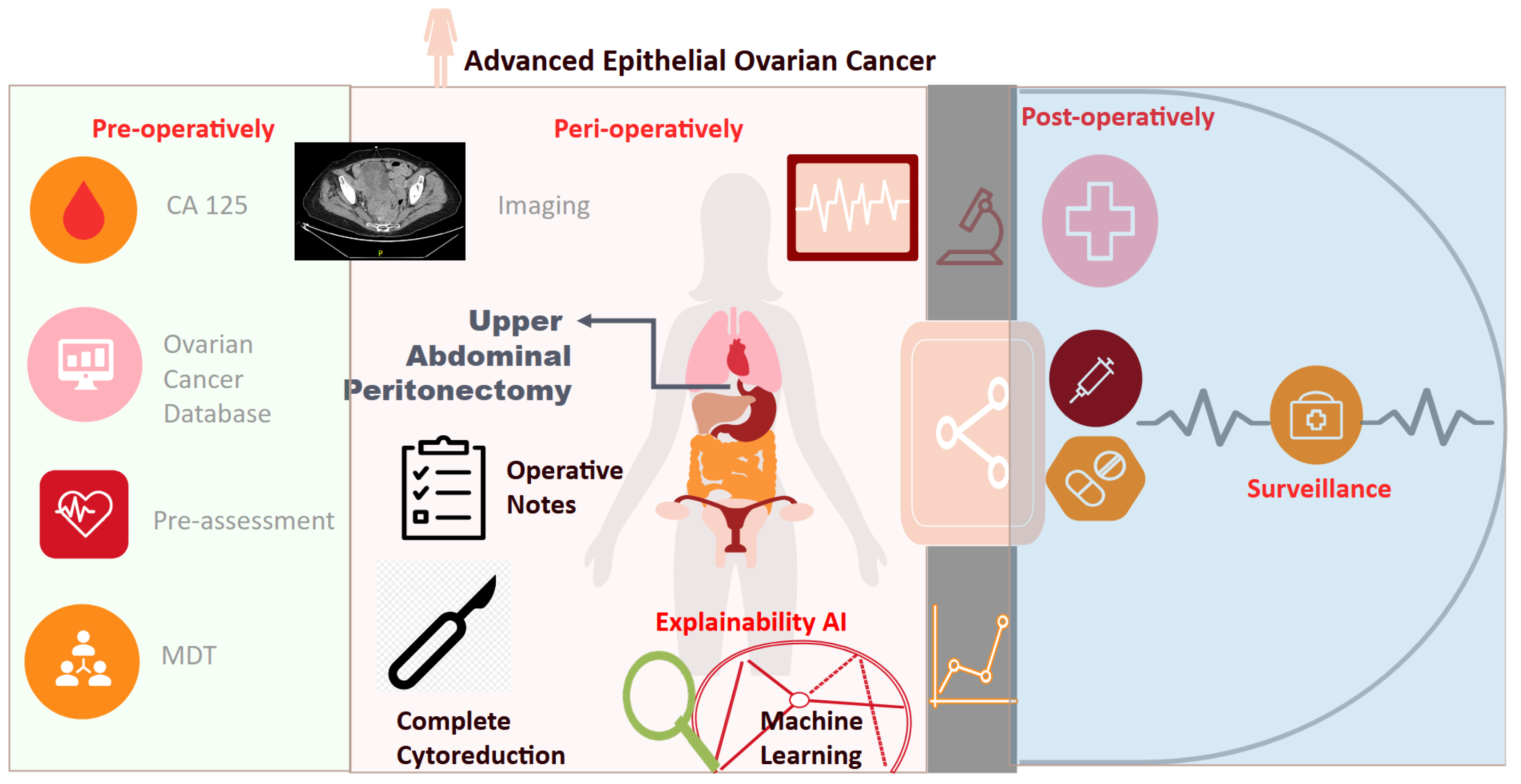 Cancers 15 05386 g008
