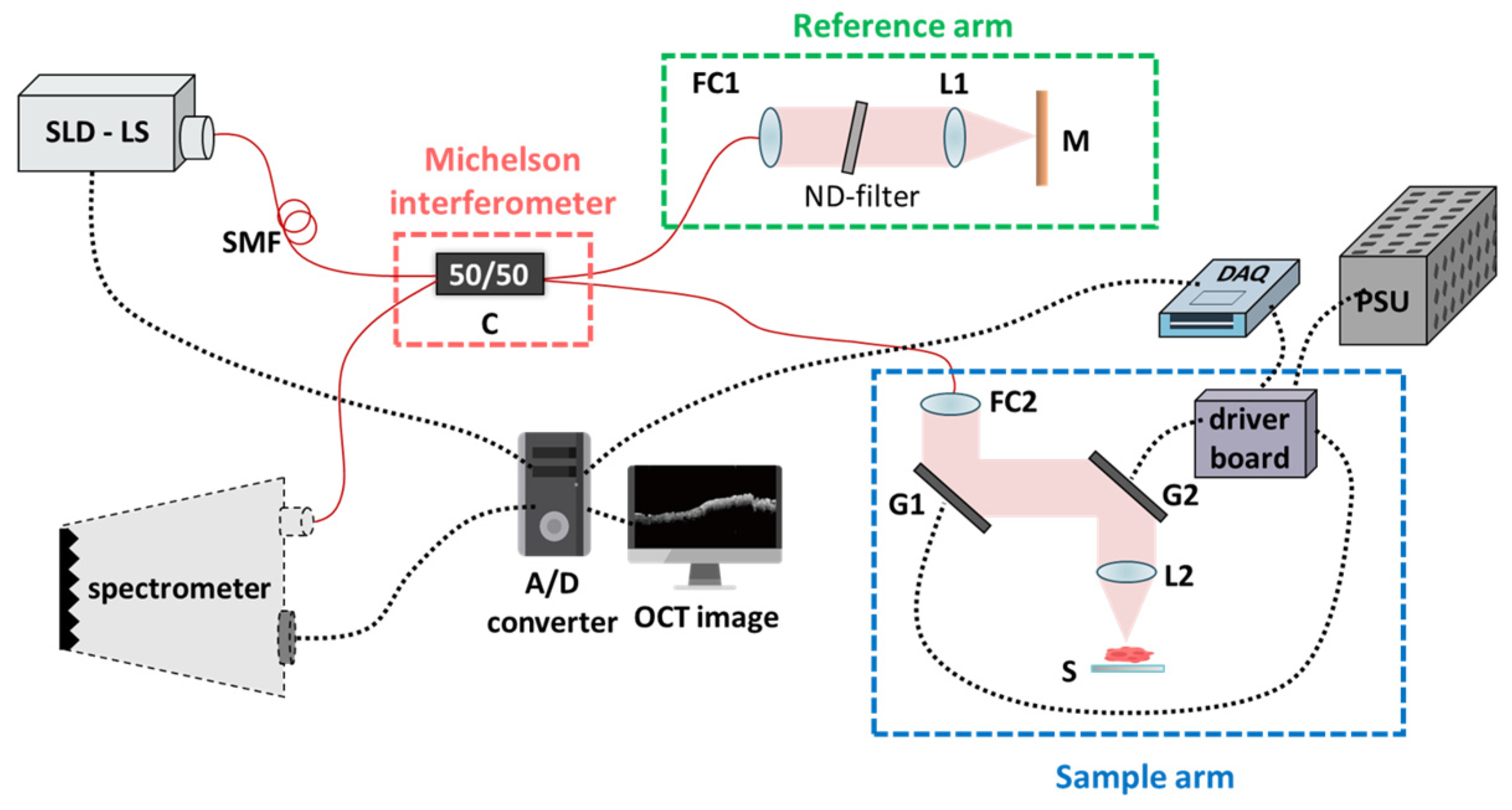 Cancers 15 05388 g001