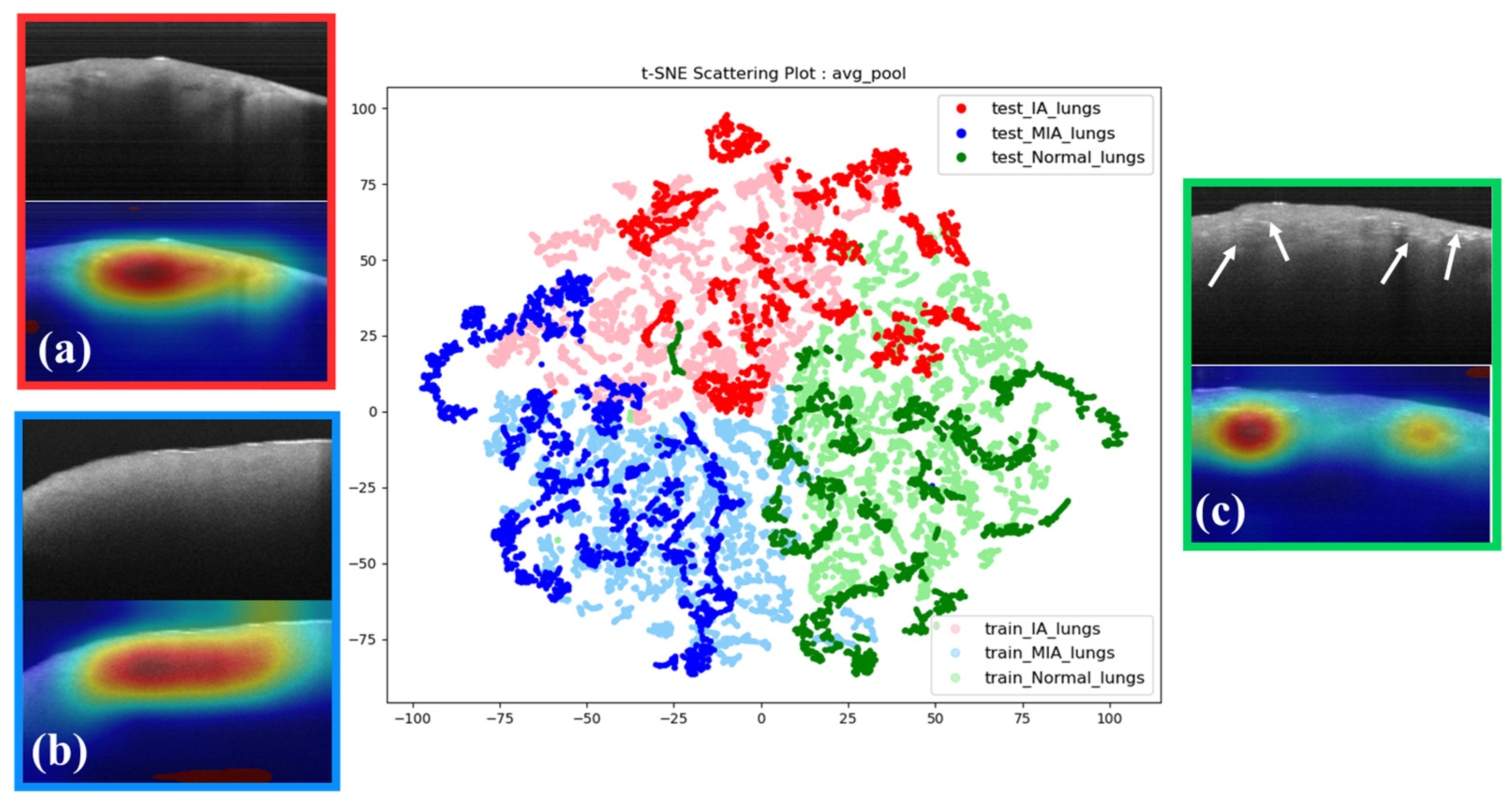 Cancers 15 05388 g006