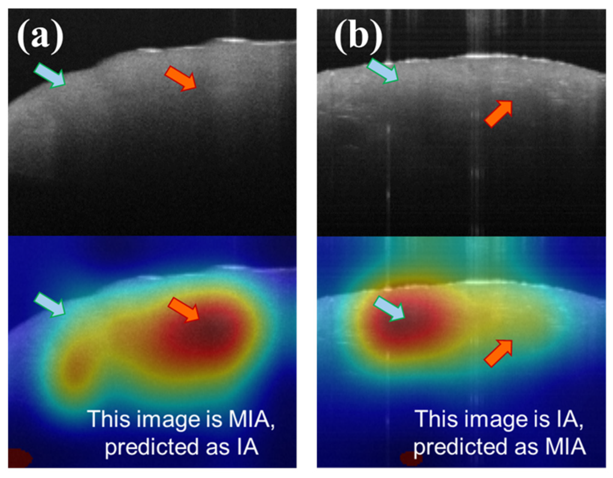 Cancers 15 05388 g008