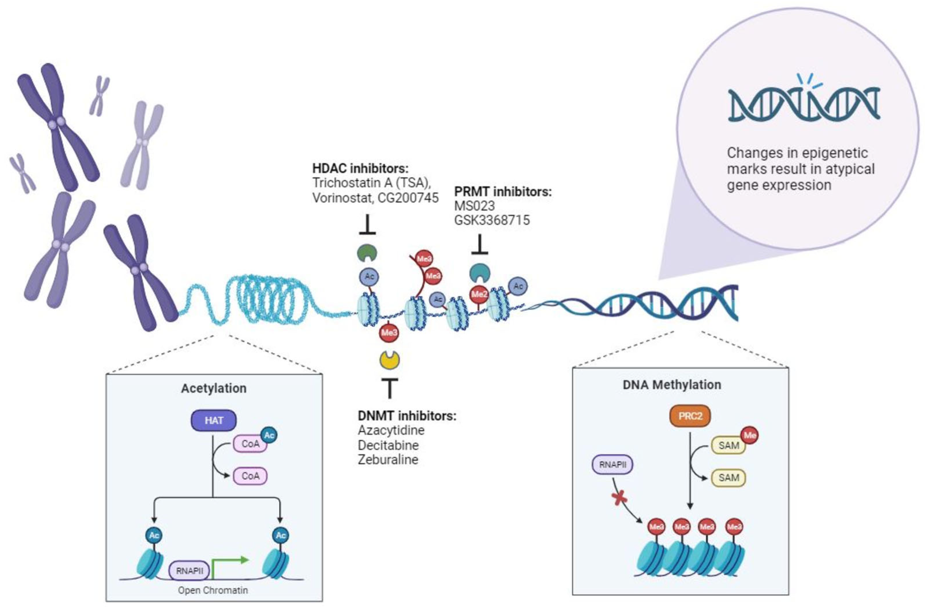 Cancers 15 05394 g001