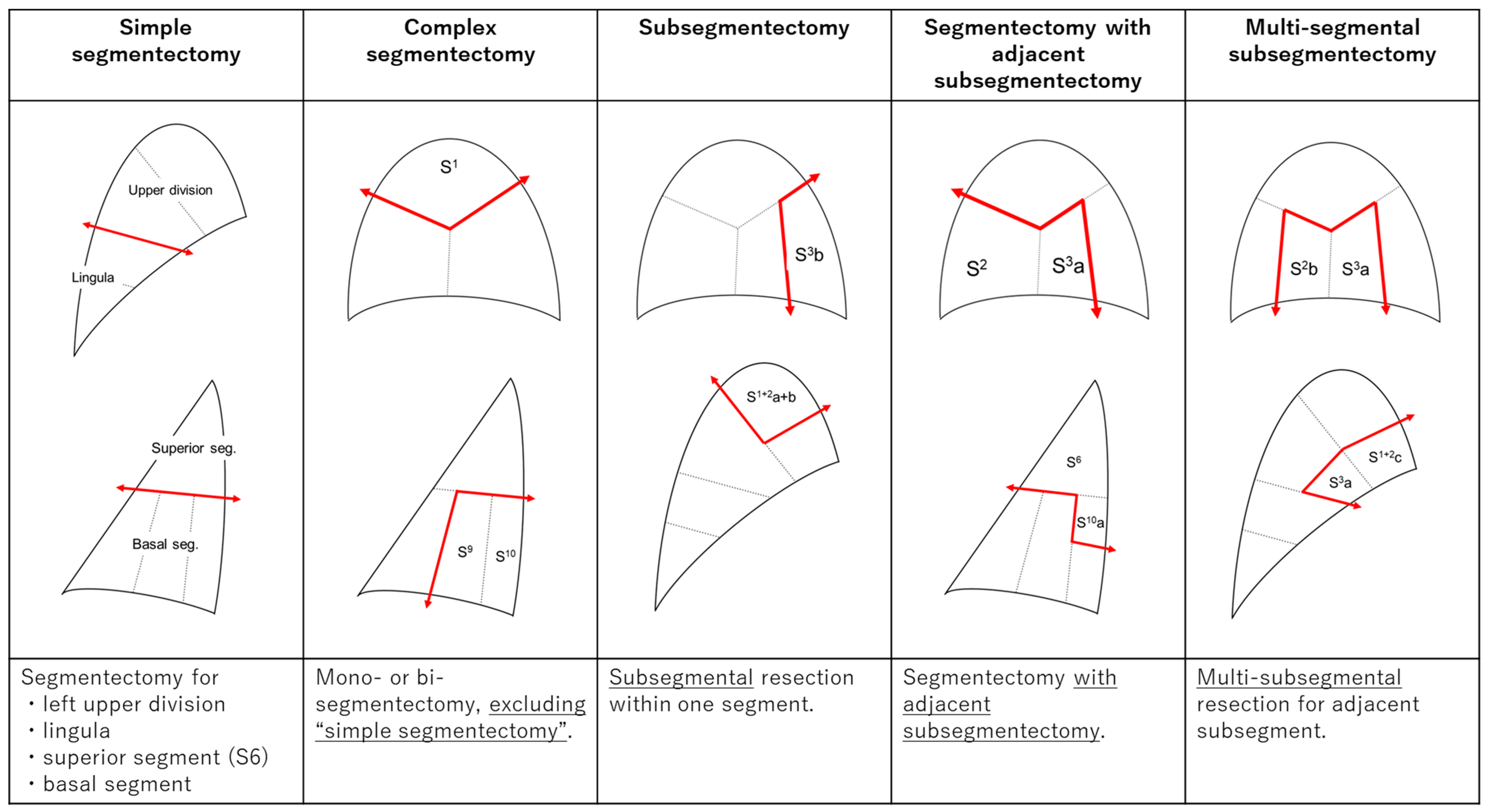 Cancers 15 05400 g002 Cancers 15 05400 g002