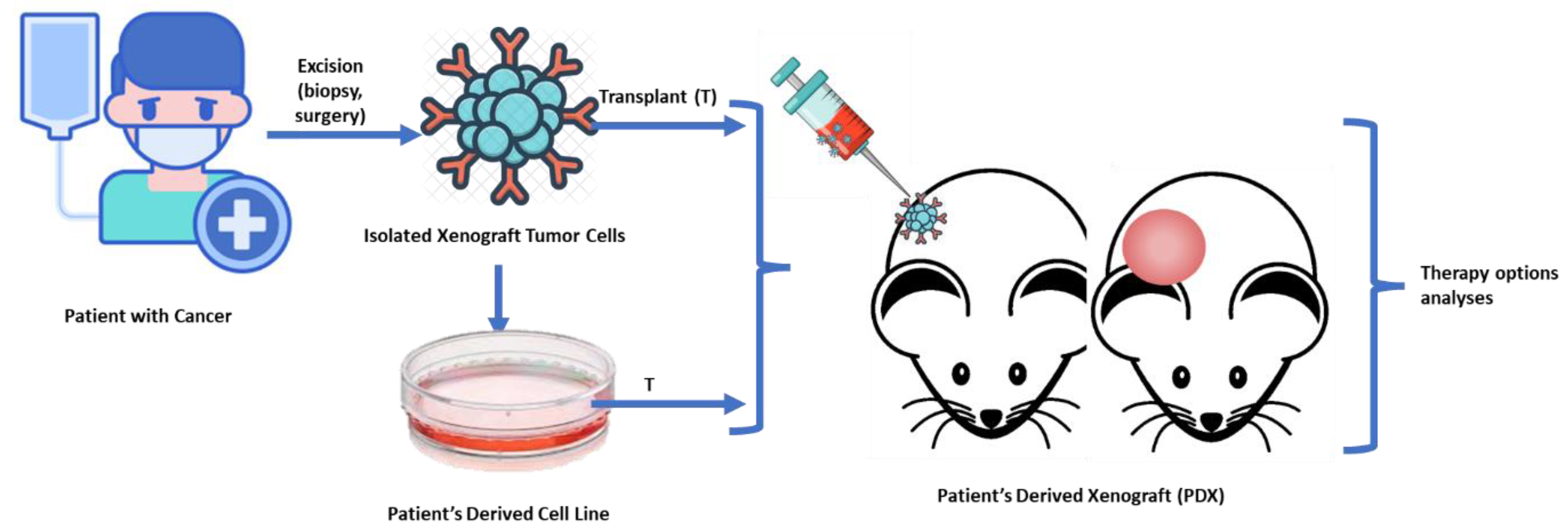 Cancers 15 05402 g001