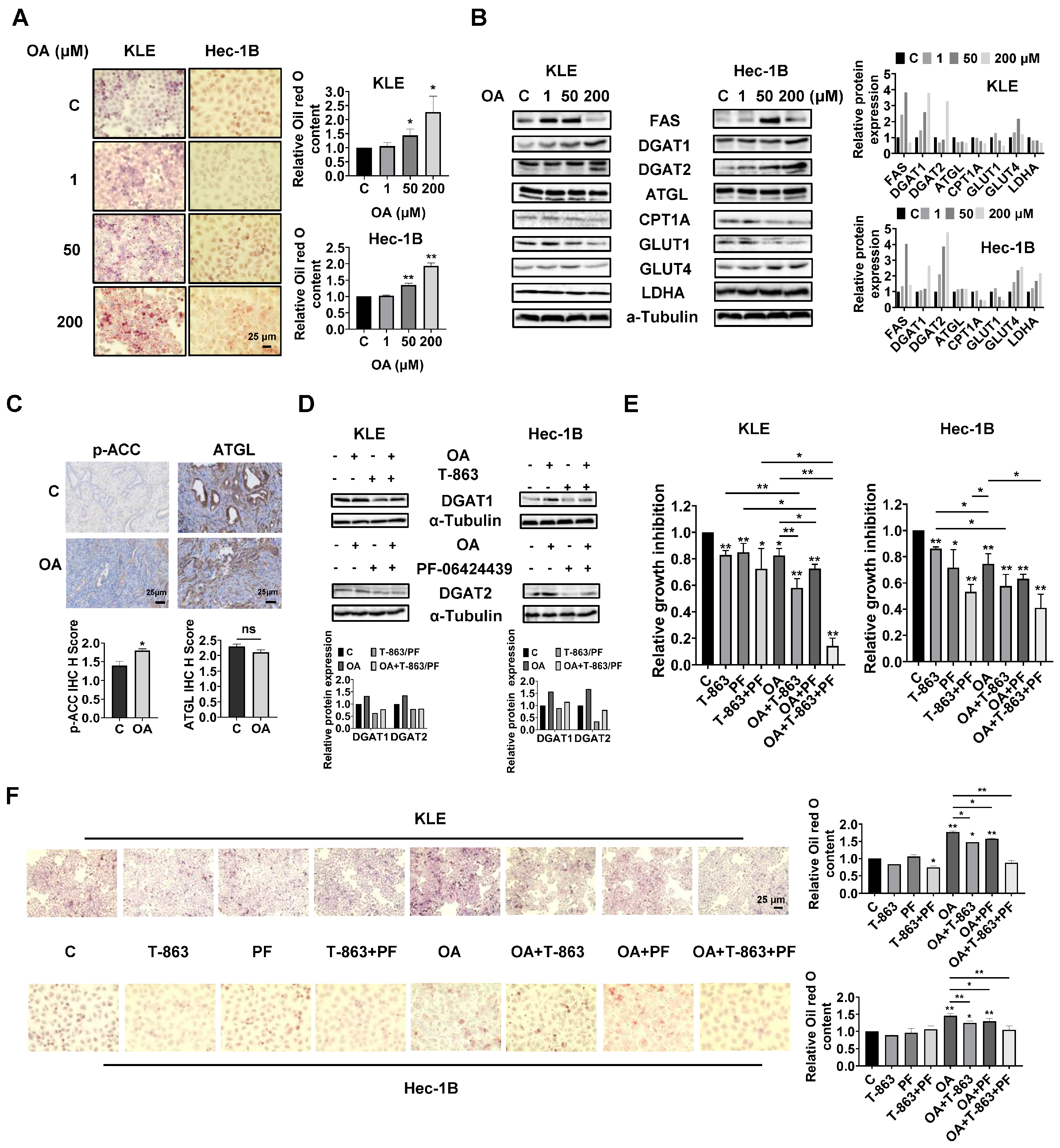 Cancers 15 05407 g005