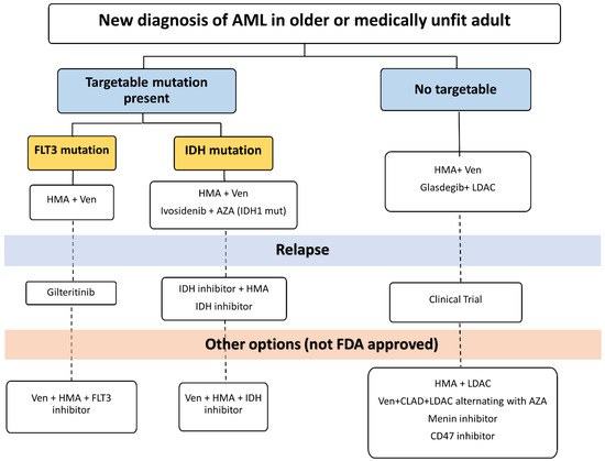 Treatment of Acute Myeloid Leukemia in Older Adults