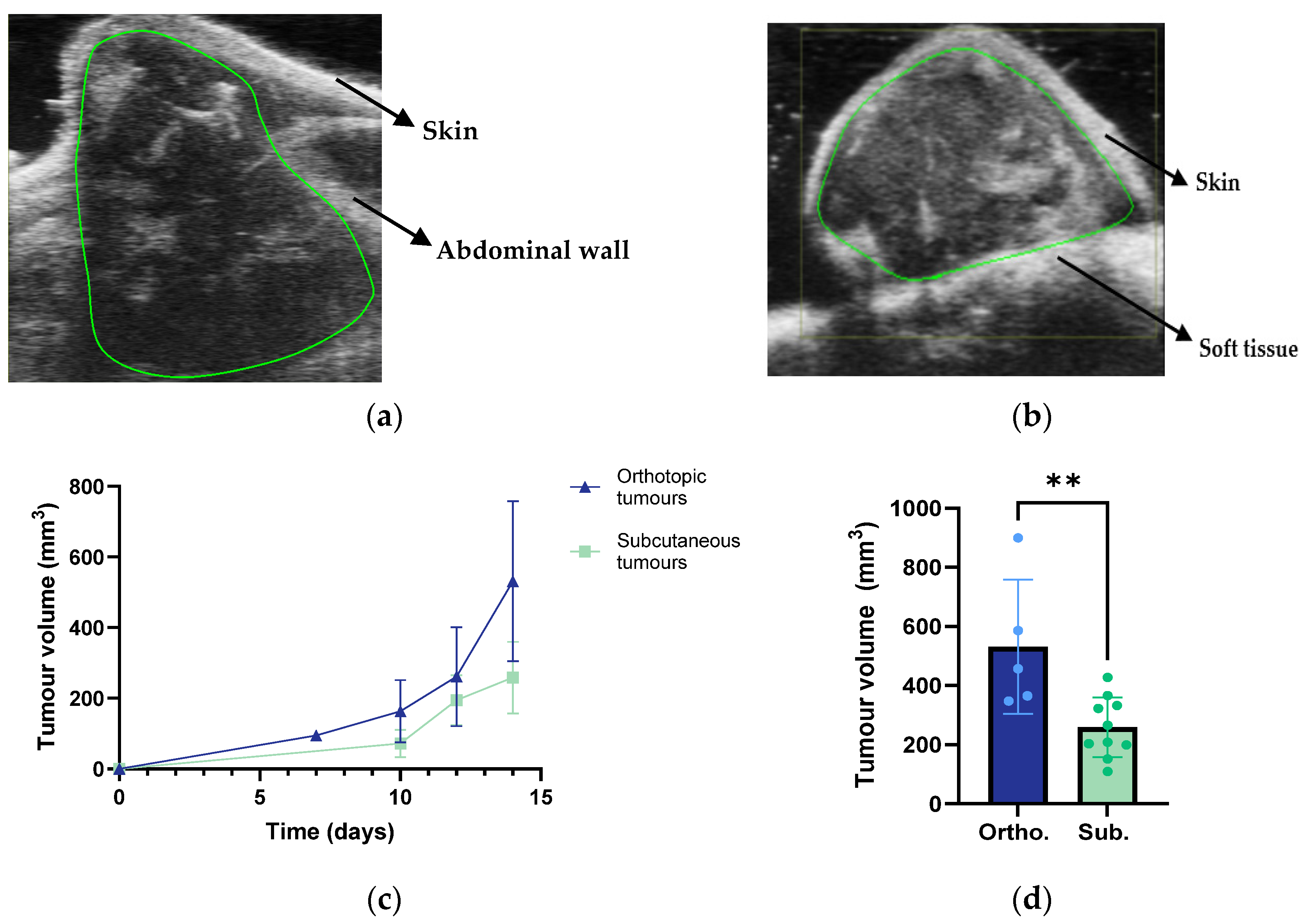 Cancers 15 05415 g002