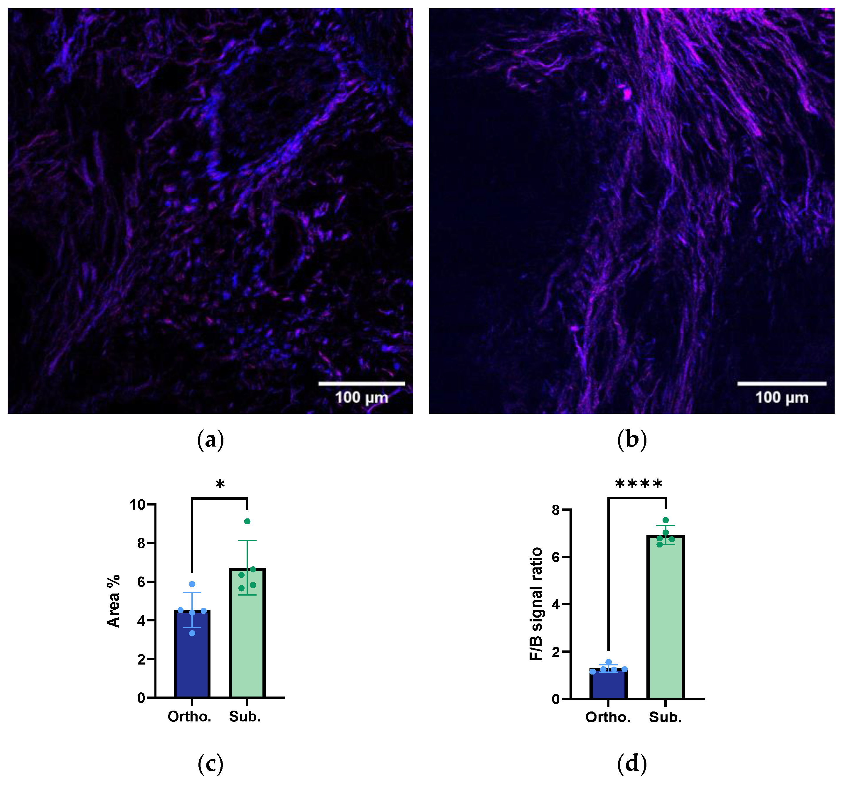 Cancers 15 05415 g003