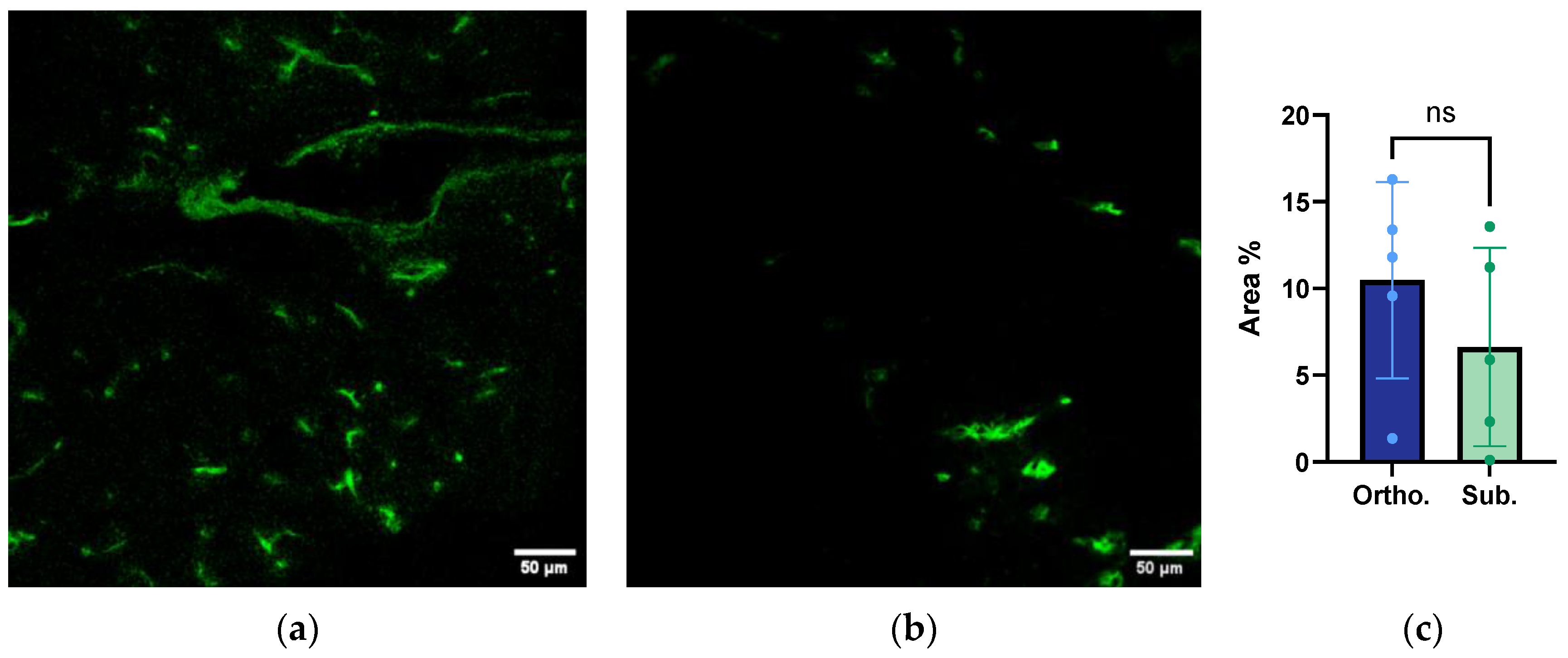 Cancers 15 05415 g006