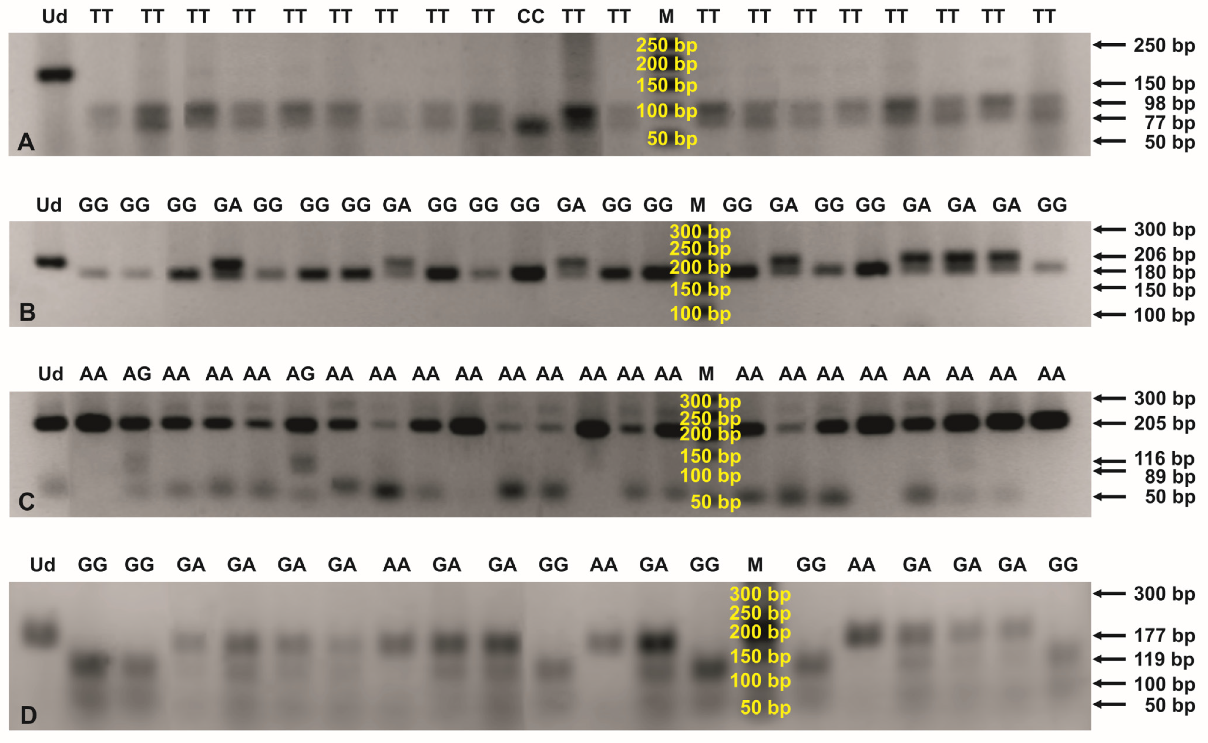Cancers 15 05416 g002