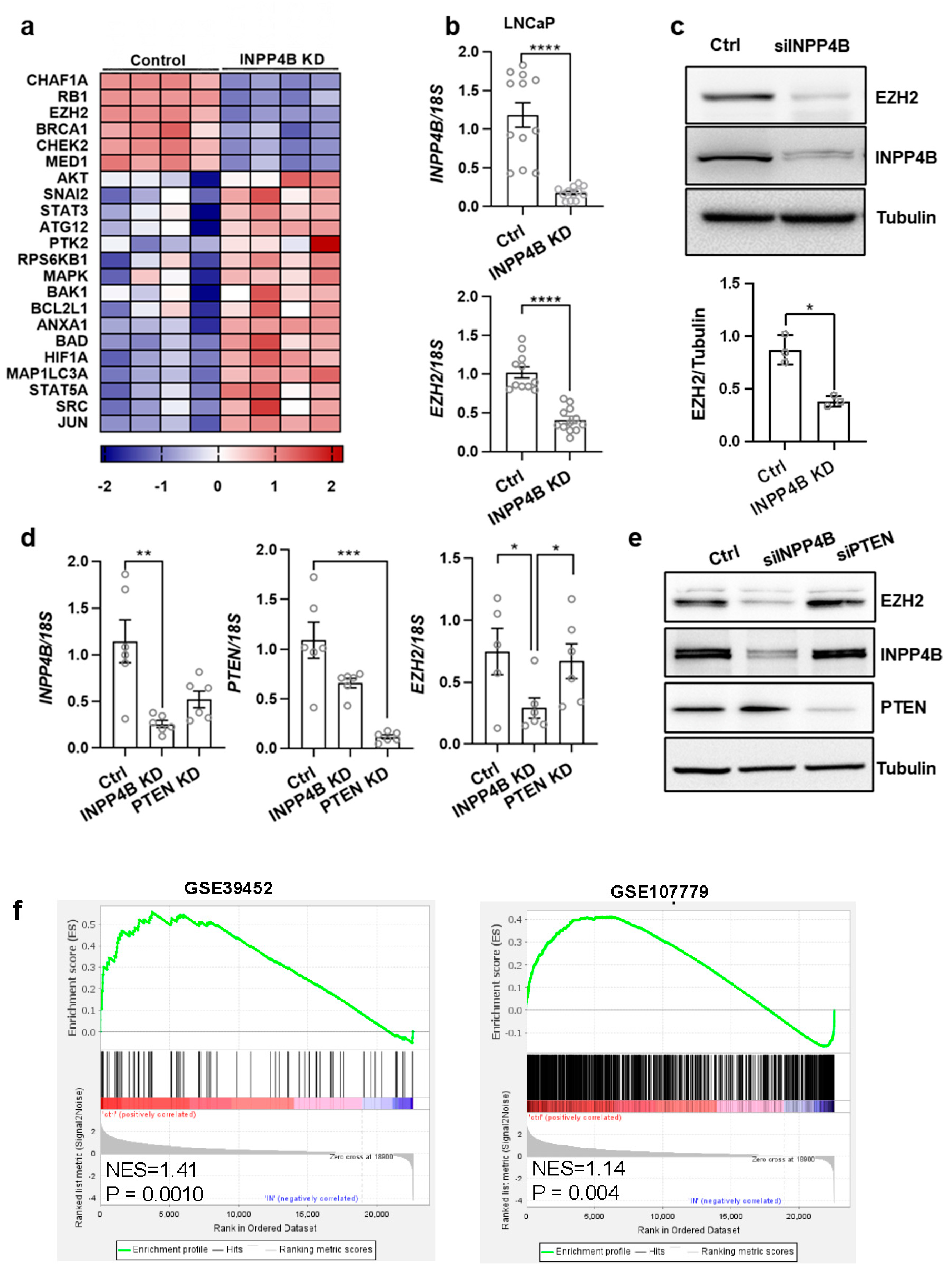 Cancers 15 05418 g001