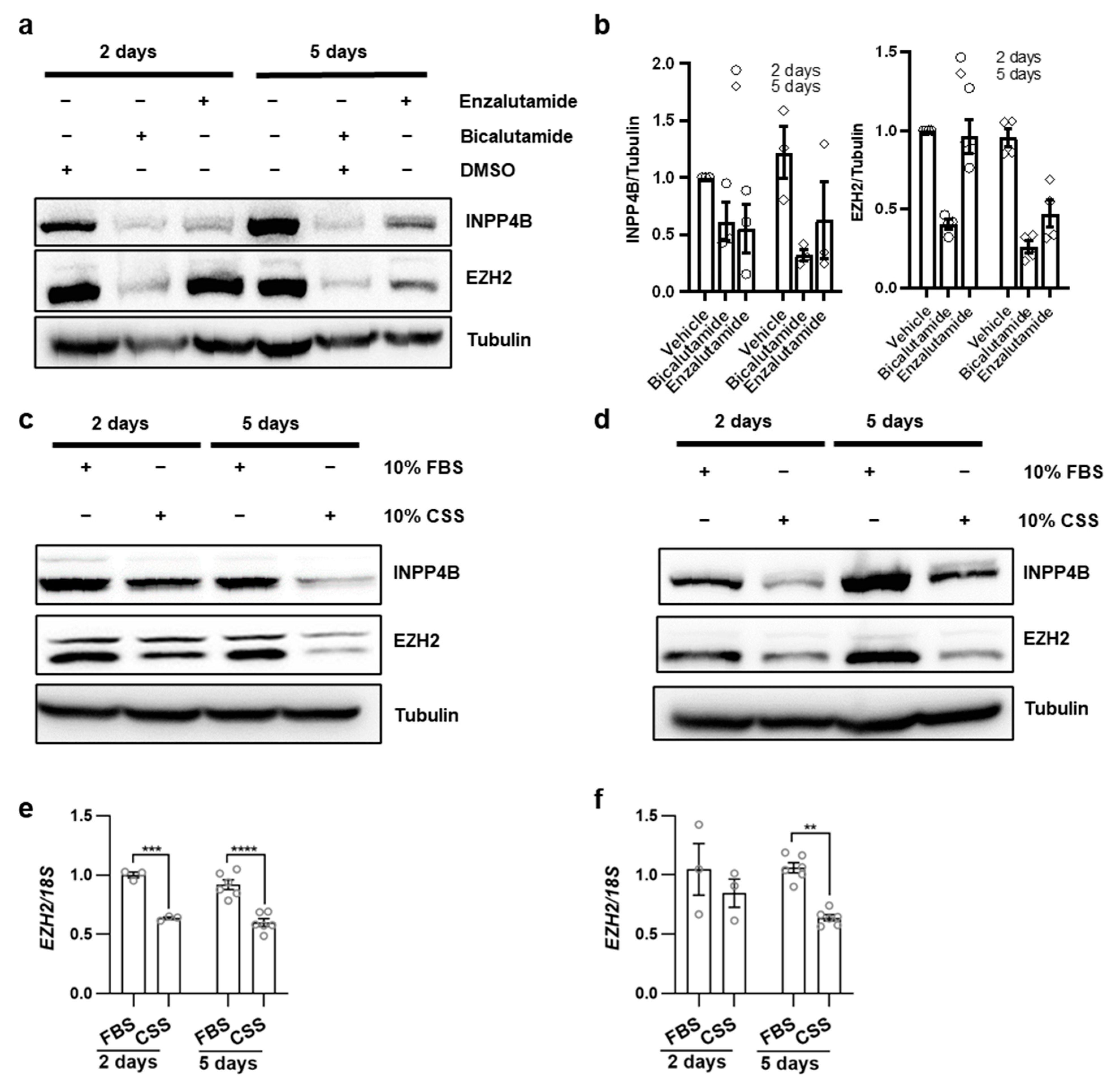 Cancers 15 05418 g003