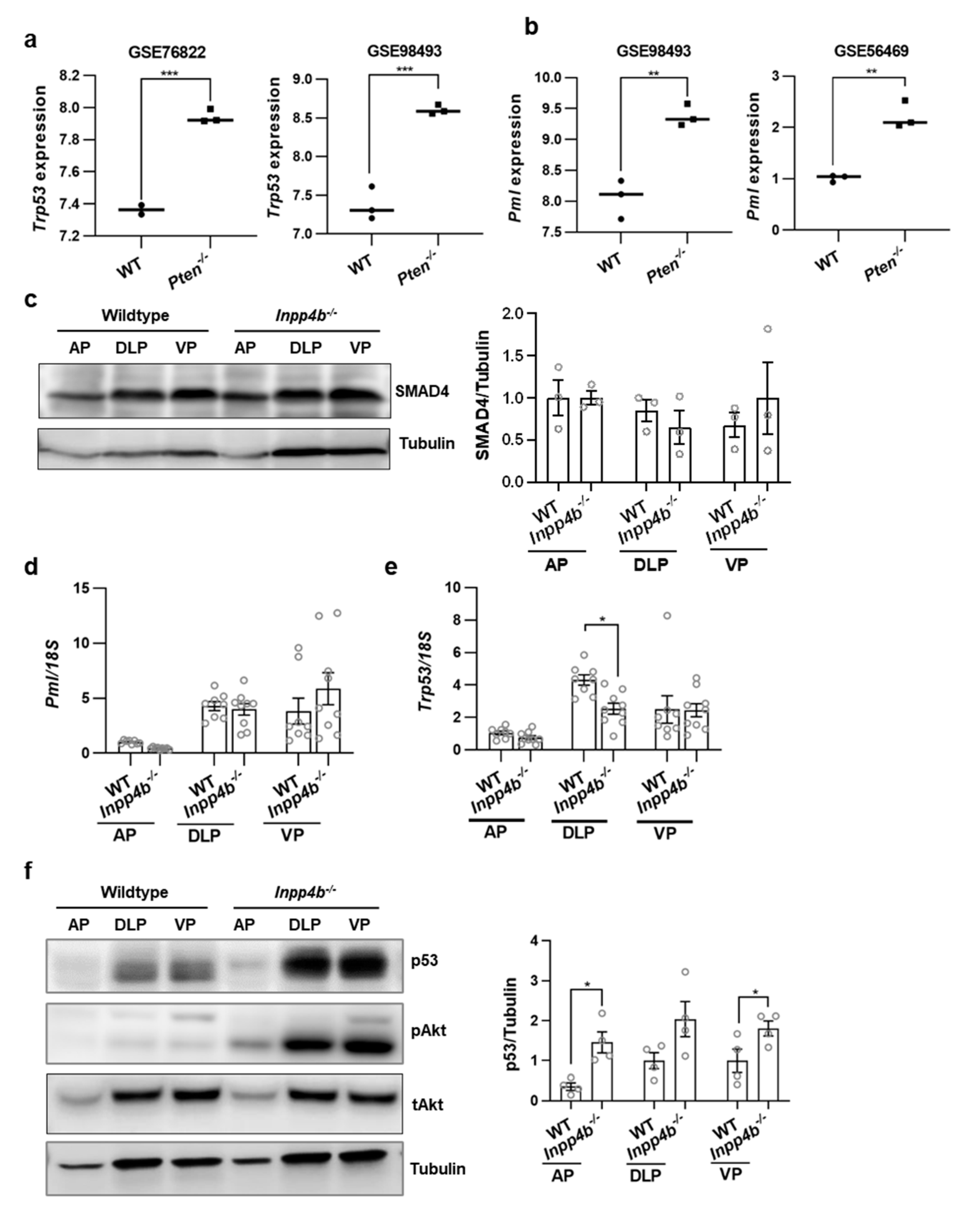 Cancers 15 05418 g005