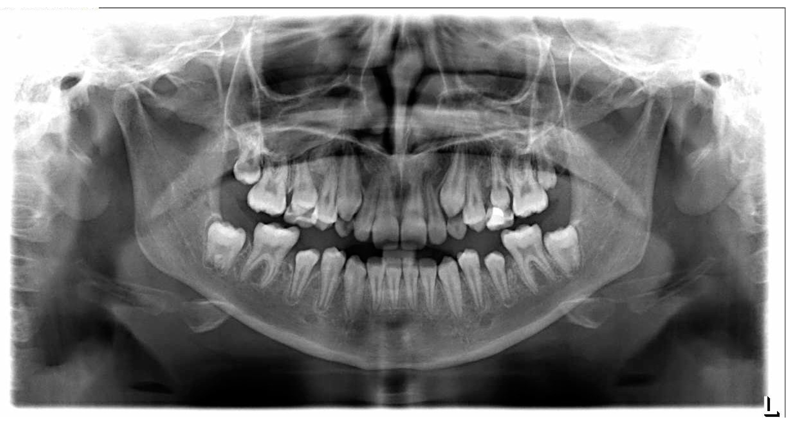 Cancers 15 05420 g001