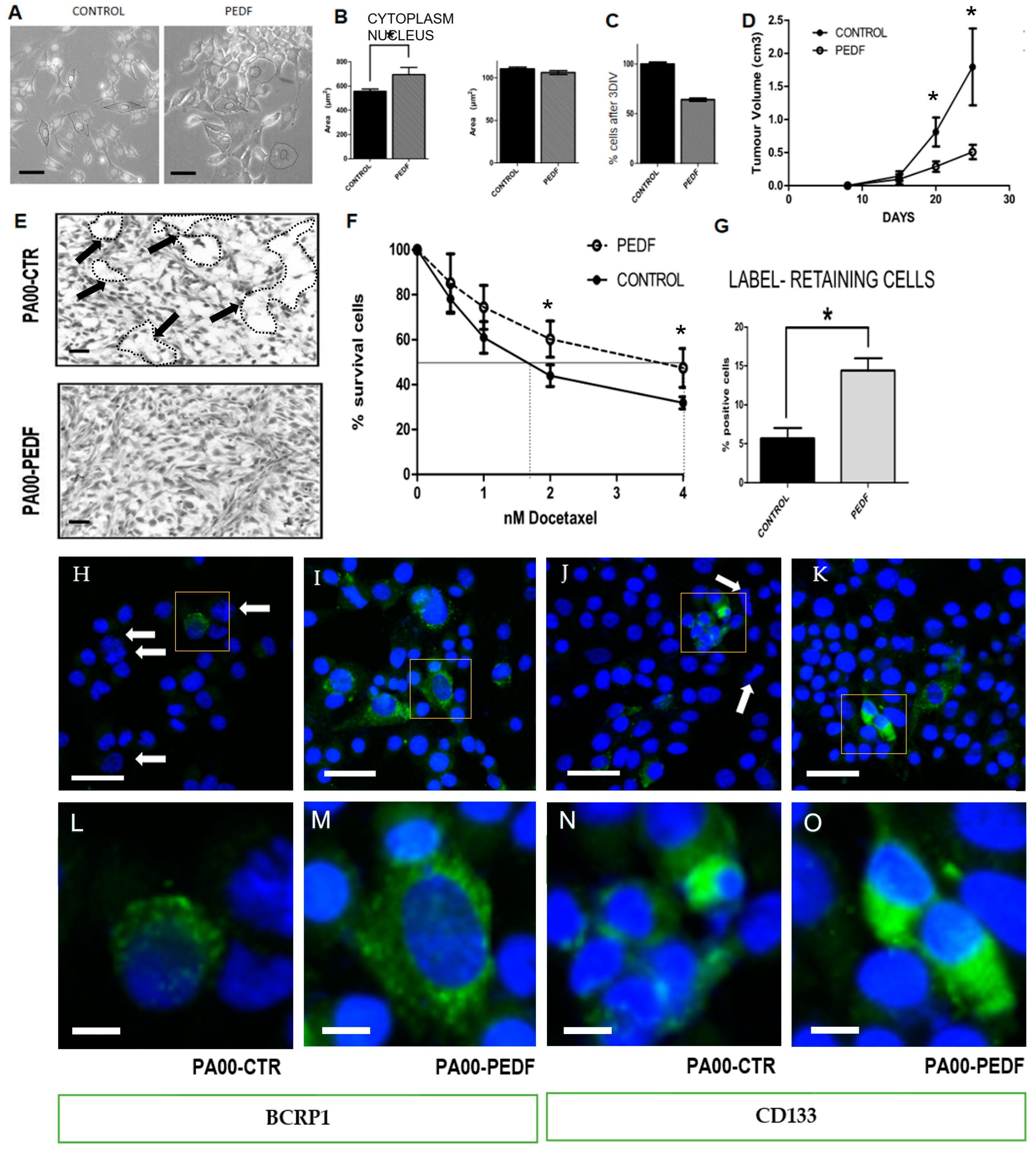 Cancers 15 05422 g002 Cancers 15 05422 g002