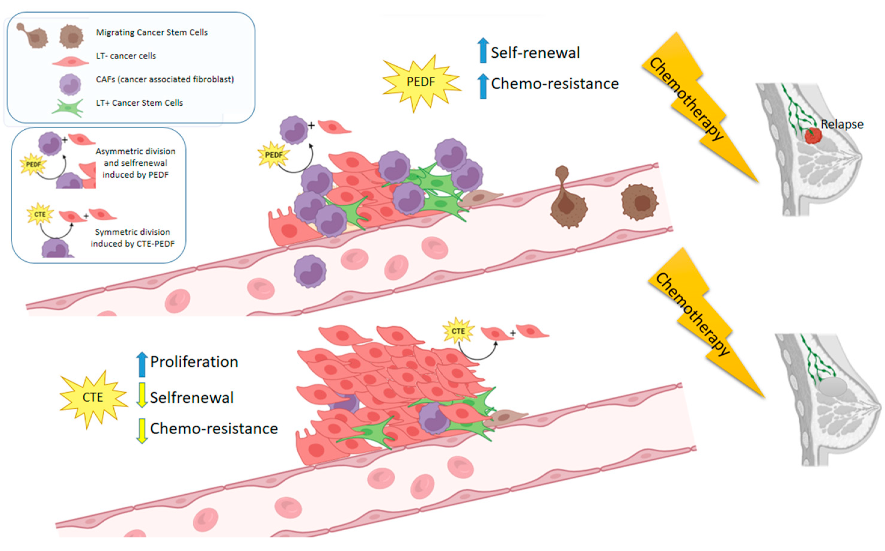 Cancers 15 05422 g007 Cancers 15 05422 g007