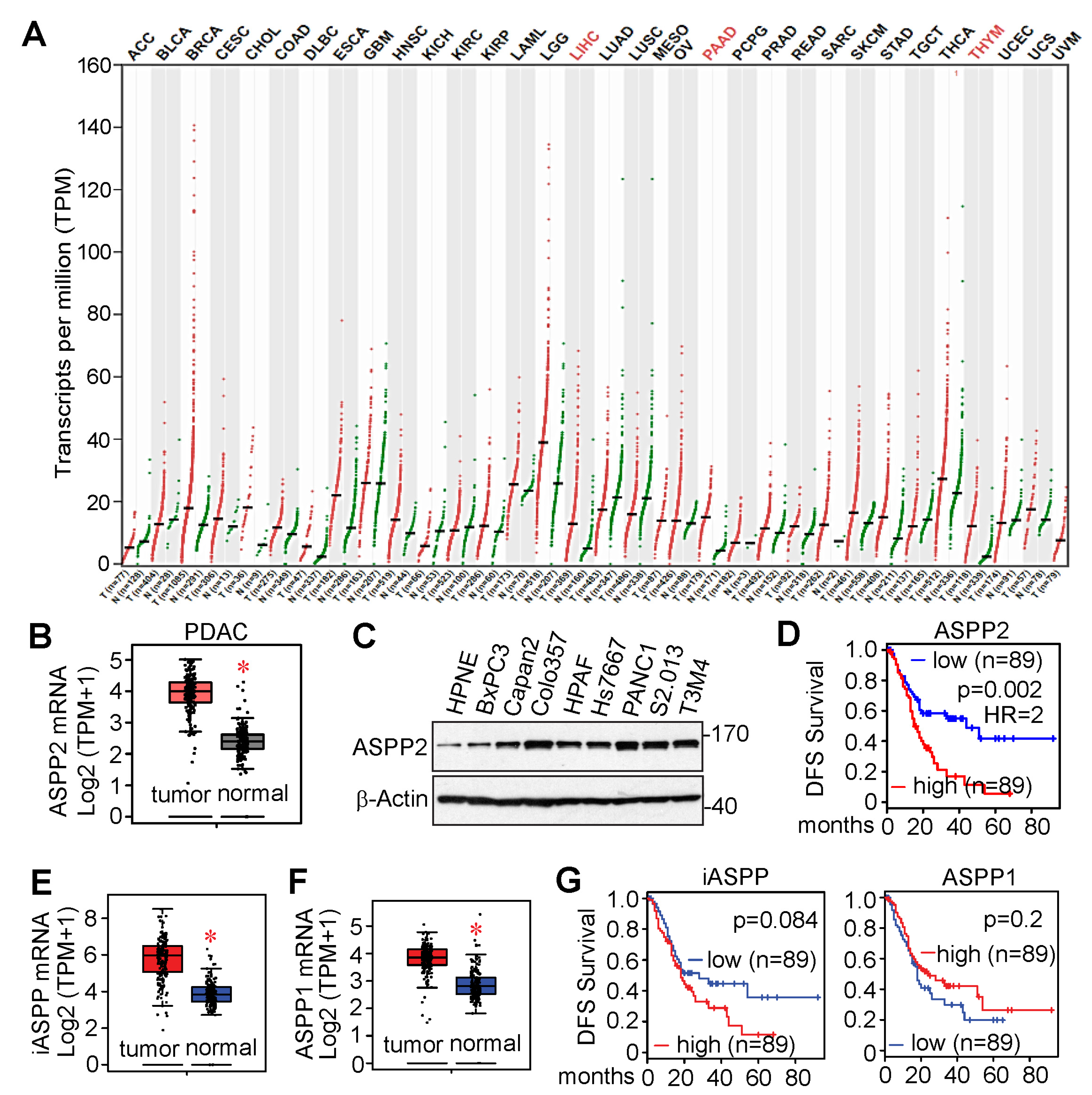 Cancers 15 05424 g003