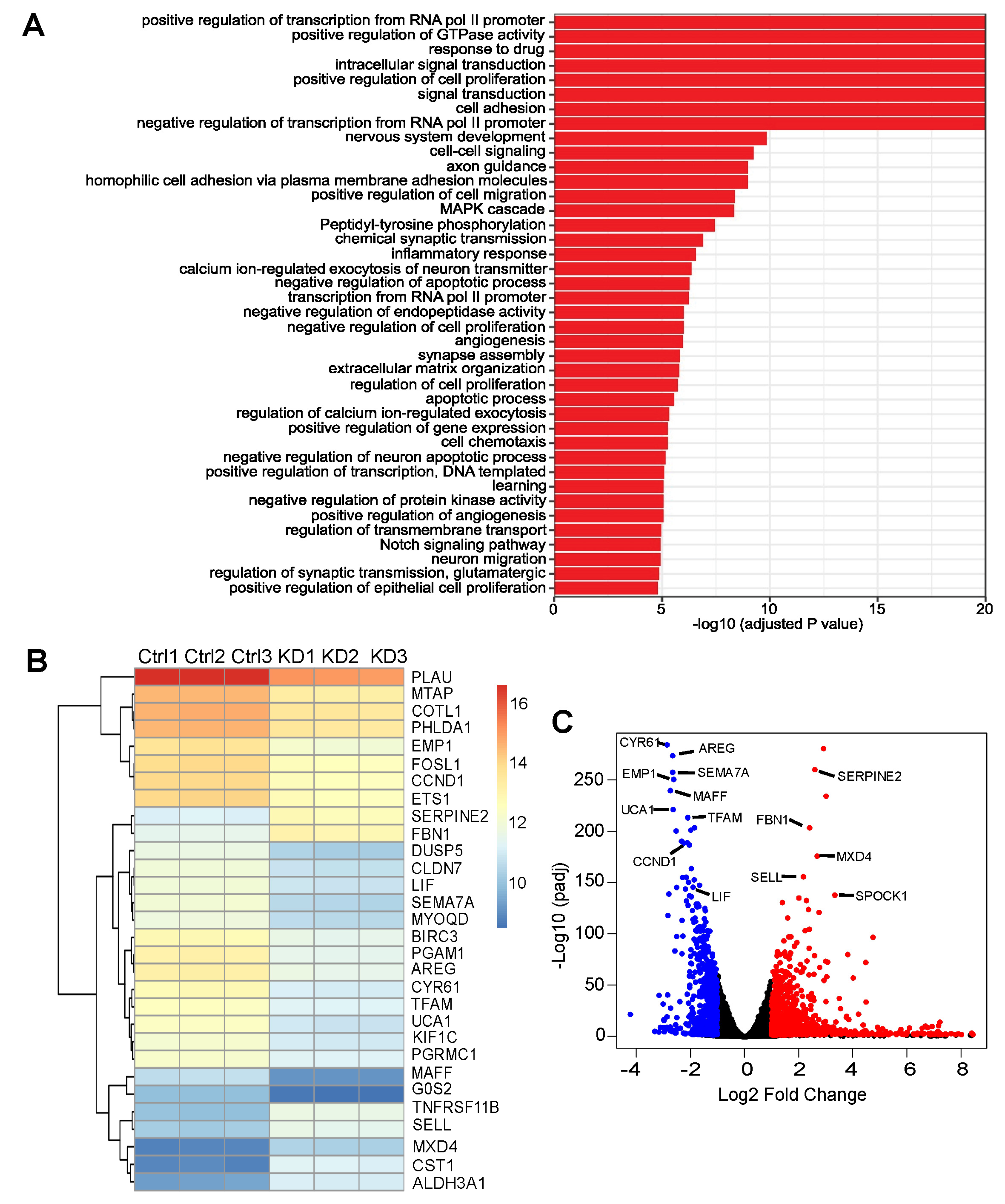 Cancers 15 05424 g005